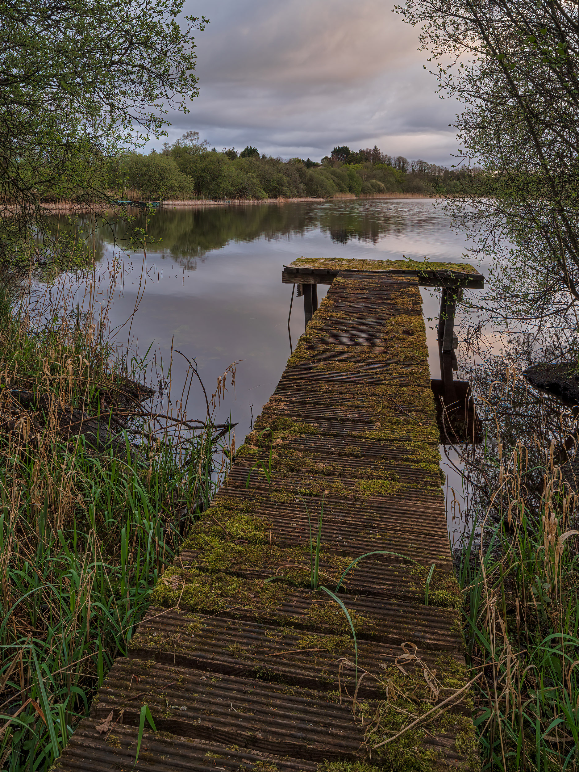 Lough Bridget, County Clare