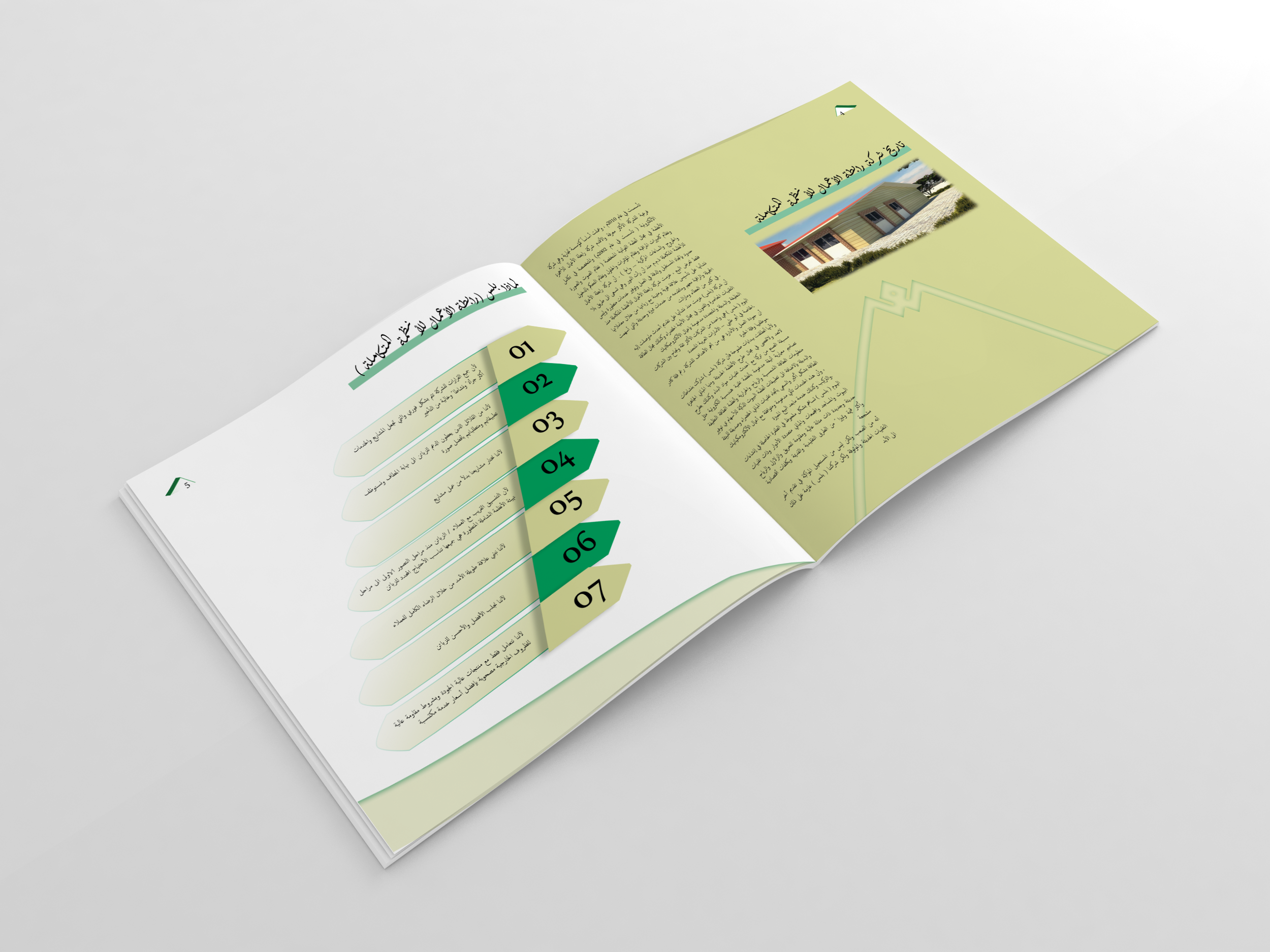 BLIS Company — Arabic Portfolio — image 5