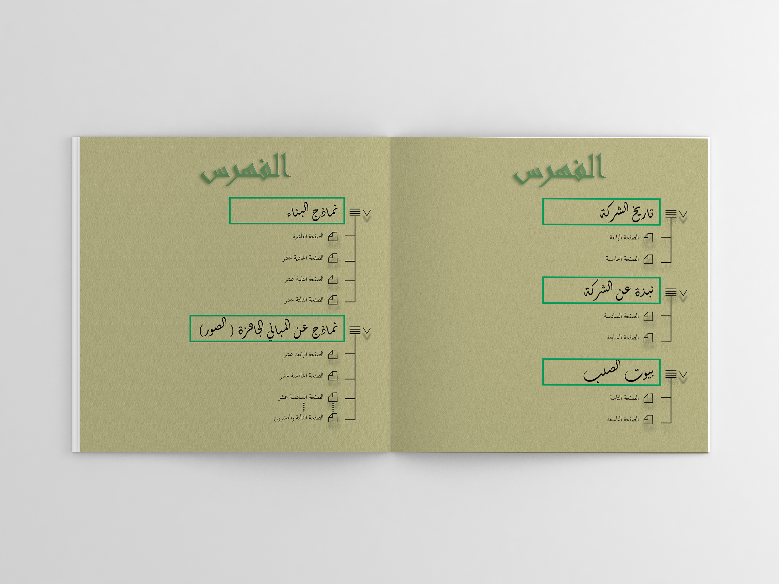 BLIS Company — Arabic Portfolio — image 3