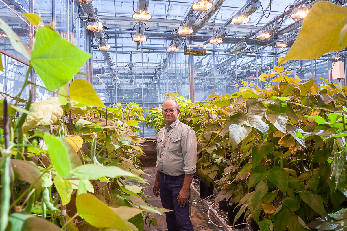 For Lethbridge College.