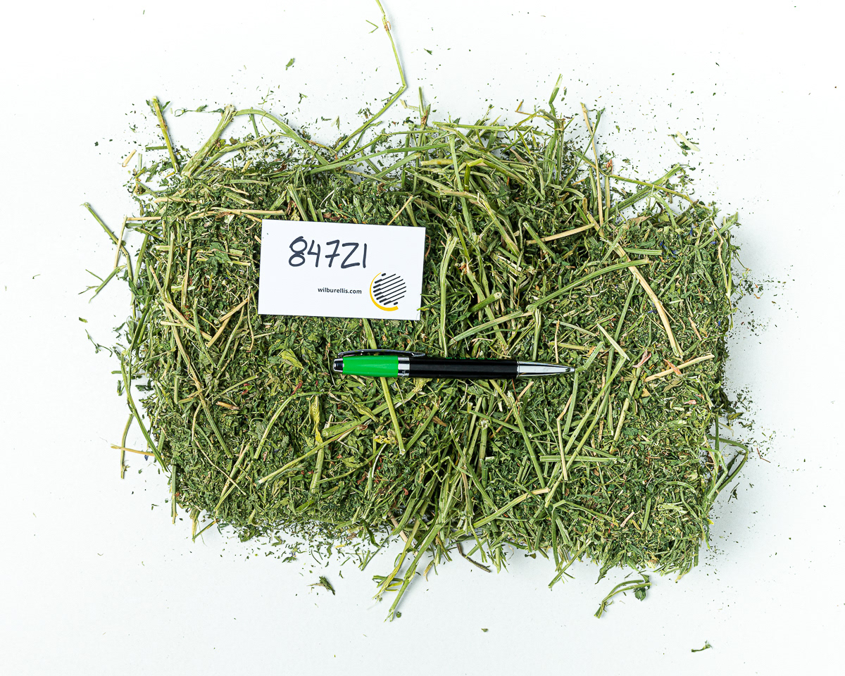 Alfalfa for Wilbur-Ellis.