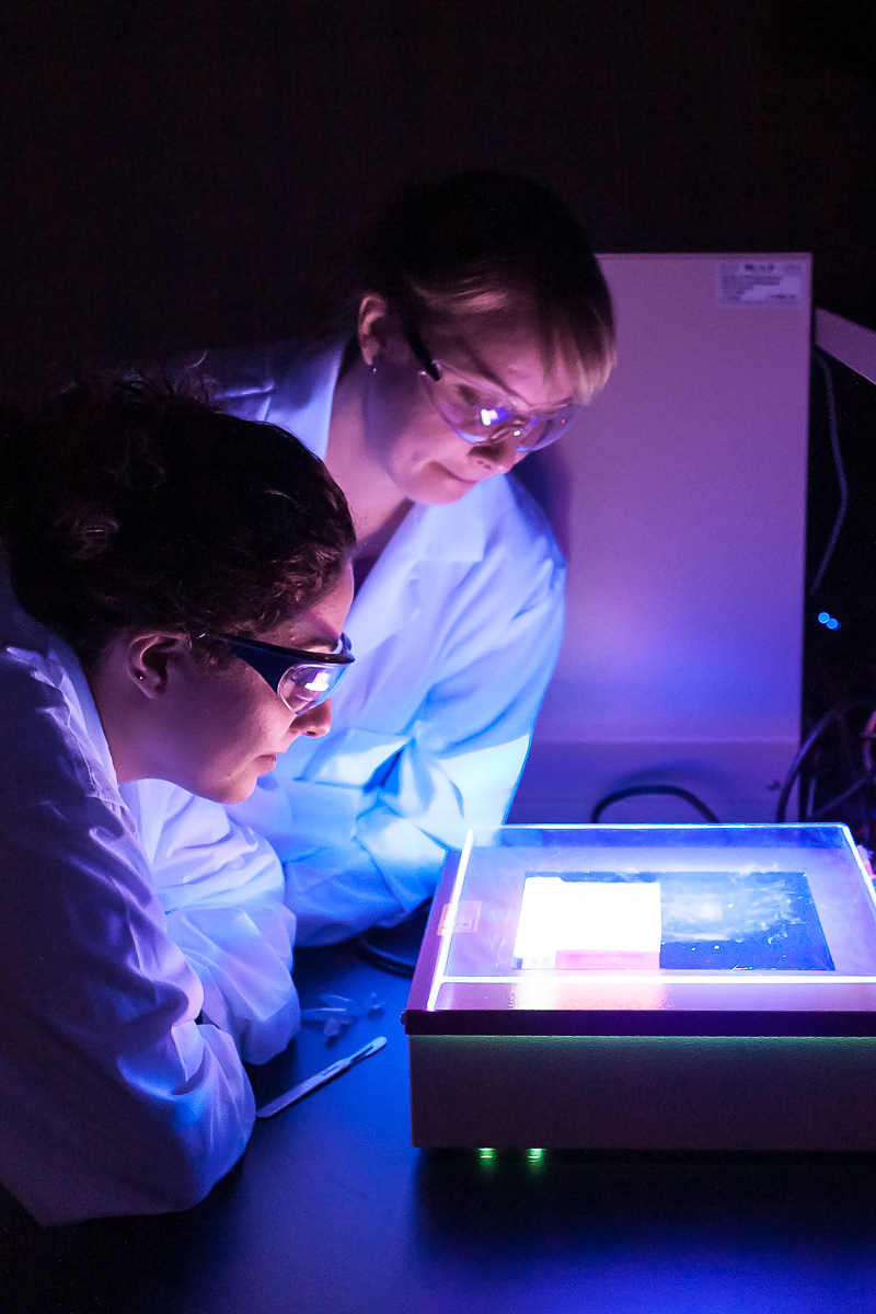 For Lethbridge College.