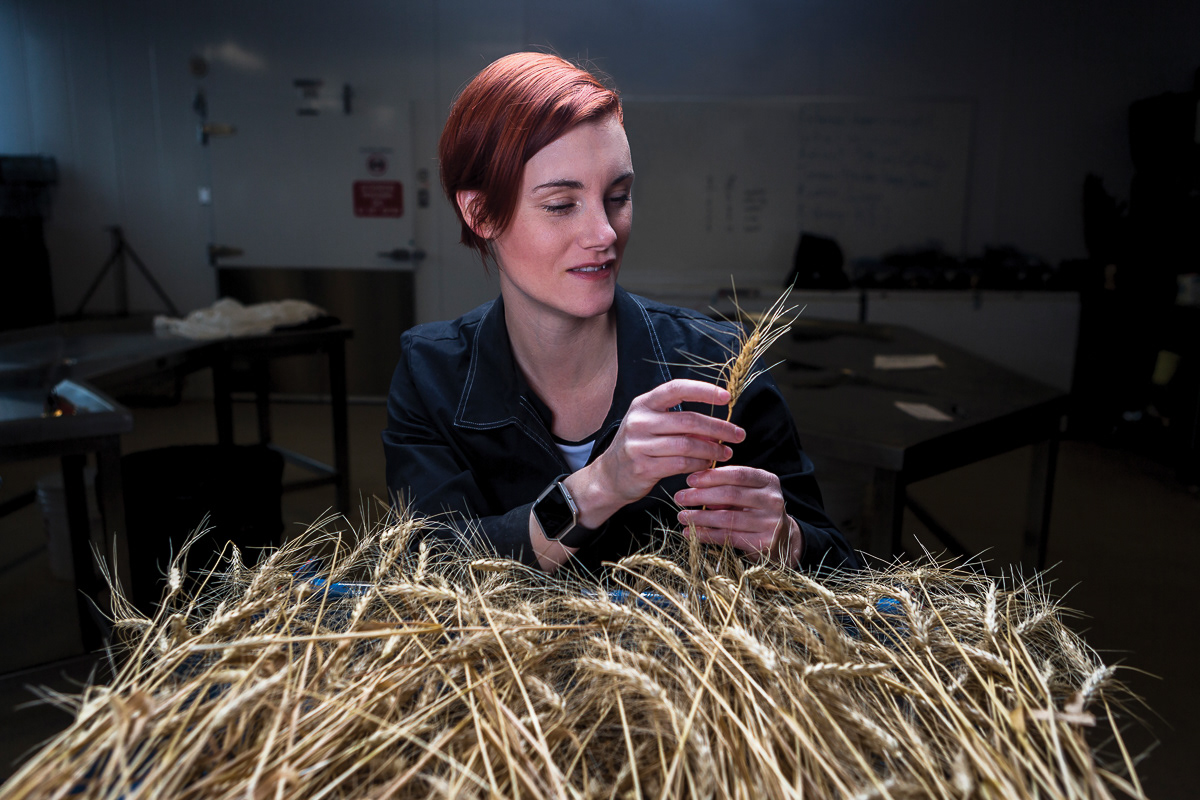 For Lethbridge College.