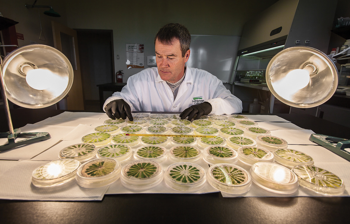 For Lethbridge College.