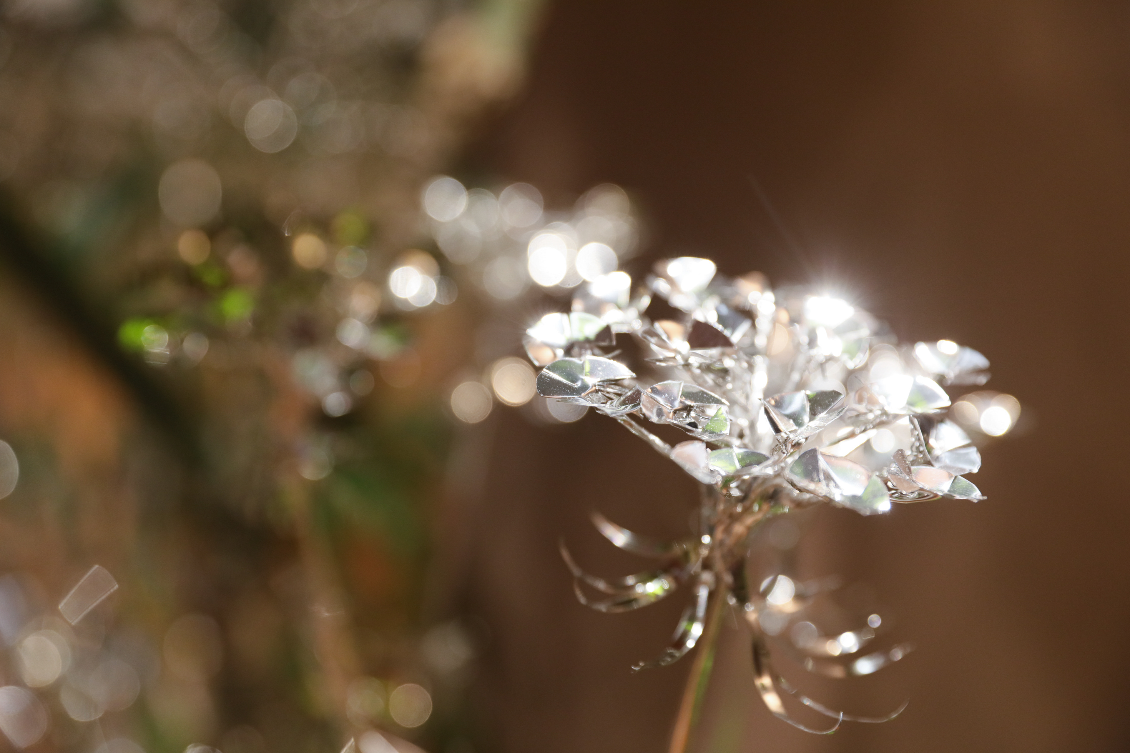 Photo by Miyata Masaya