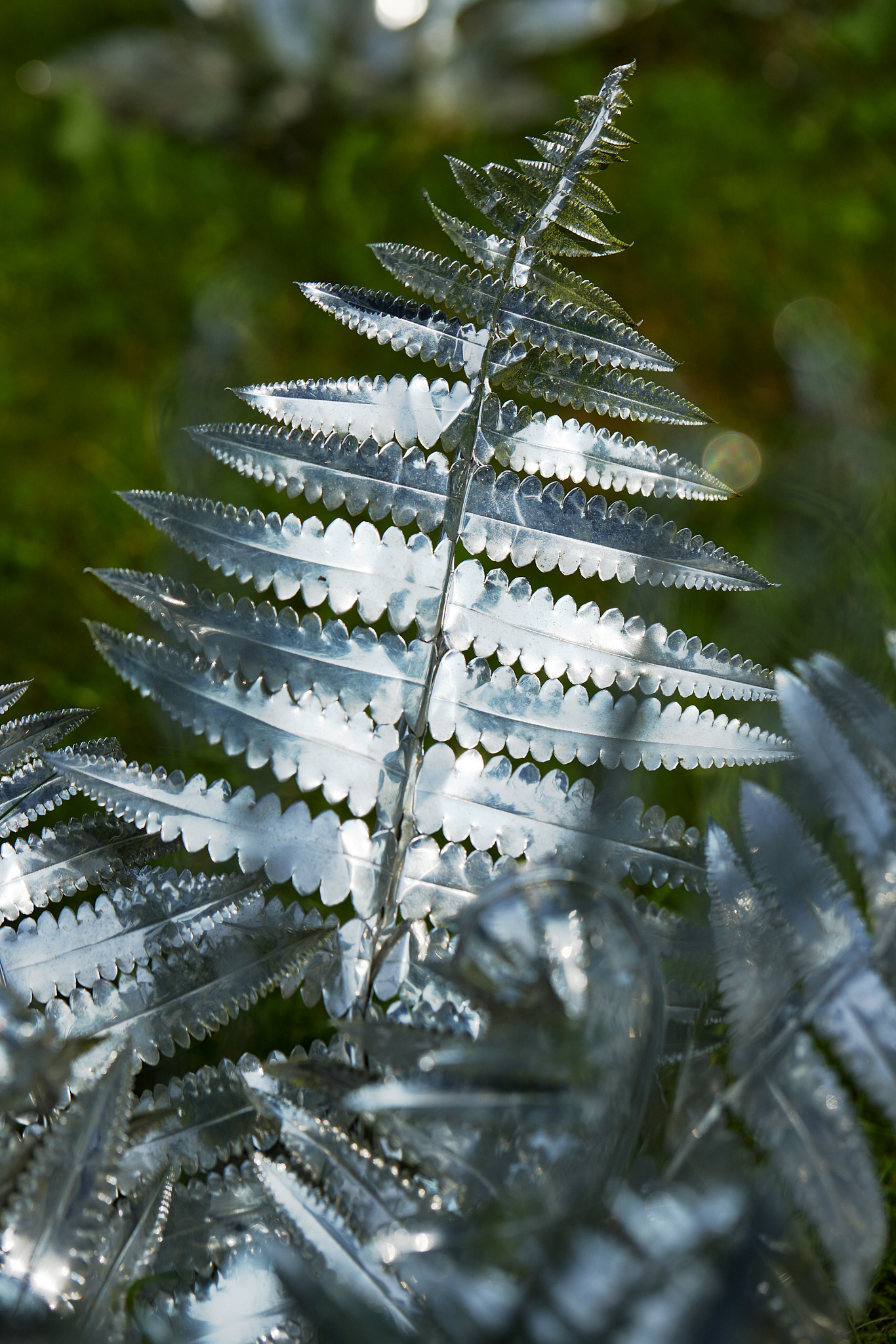 Title: The aluminum garden -structural studies of plants- mirror surface, Year:2024 Photo by Shinji Minegishi