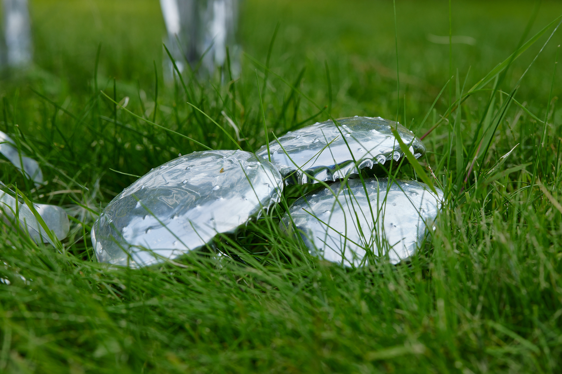 Title: The aluminum garden -structural studies of plants- mirror surface, Year:2024 Photo by Shinji Minegishi