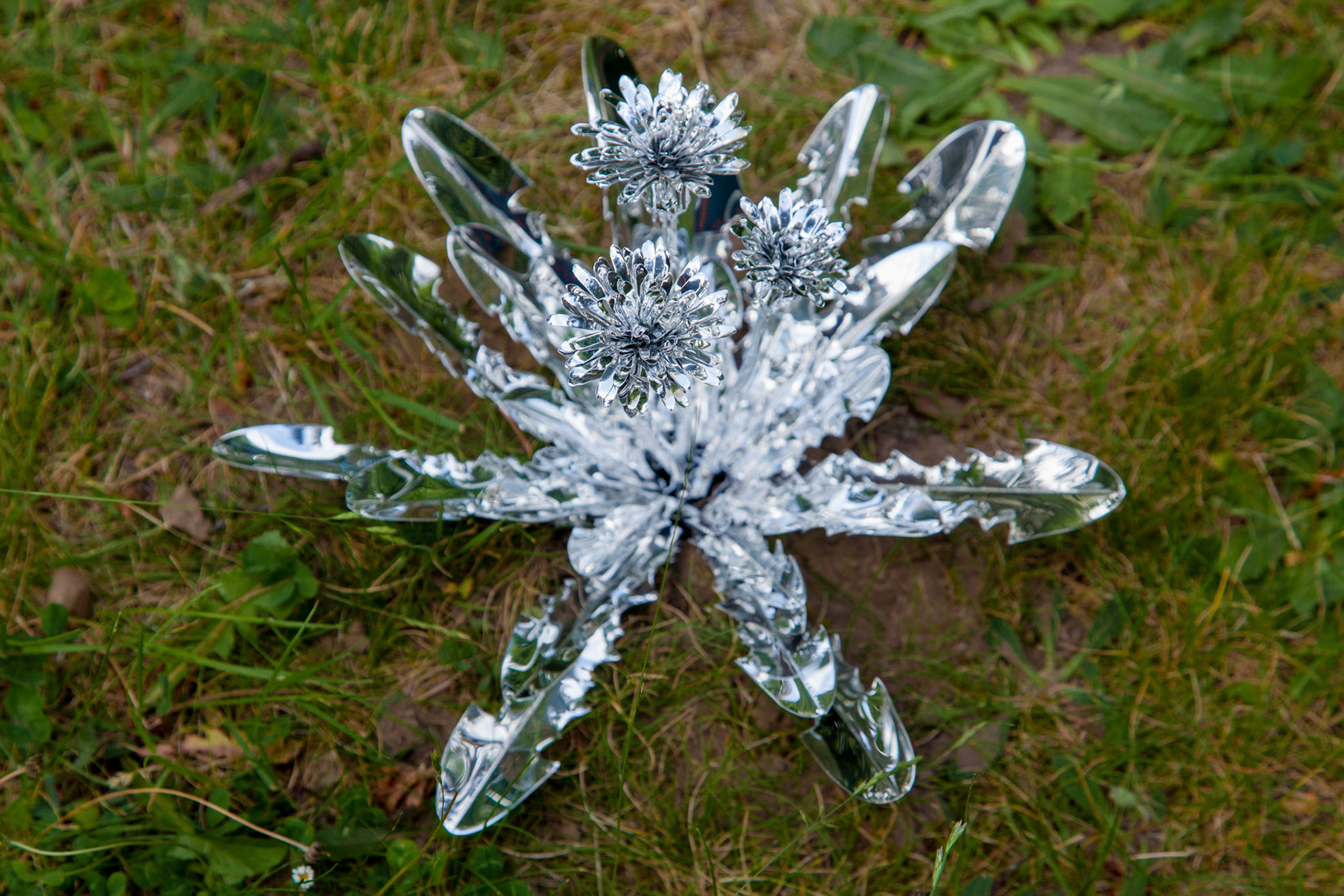 Title: The aluminum garden -structural studies of plants-  Material: Aluminium Foil Mirror polished surface 0.2mm Photo by Joanna Szproch