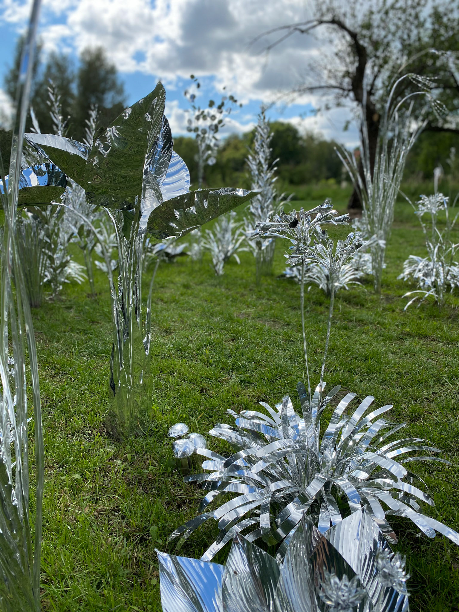 Title: The aluminum garden -structural studies of plants- mirror surface, Year:2020, Material: Aluminium Foil 0.2mm, Photo by S
