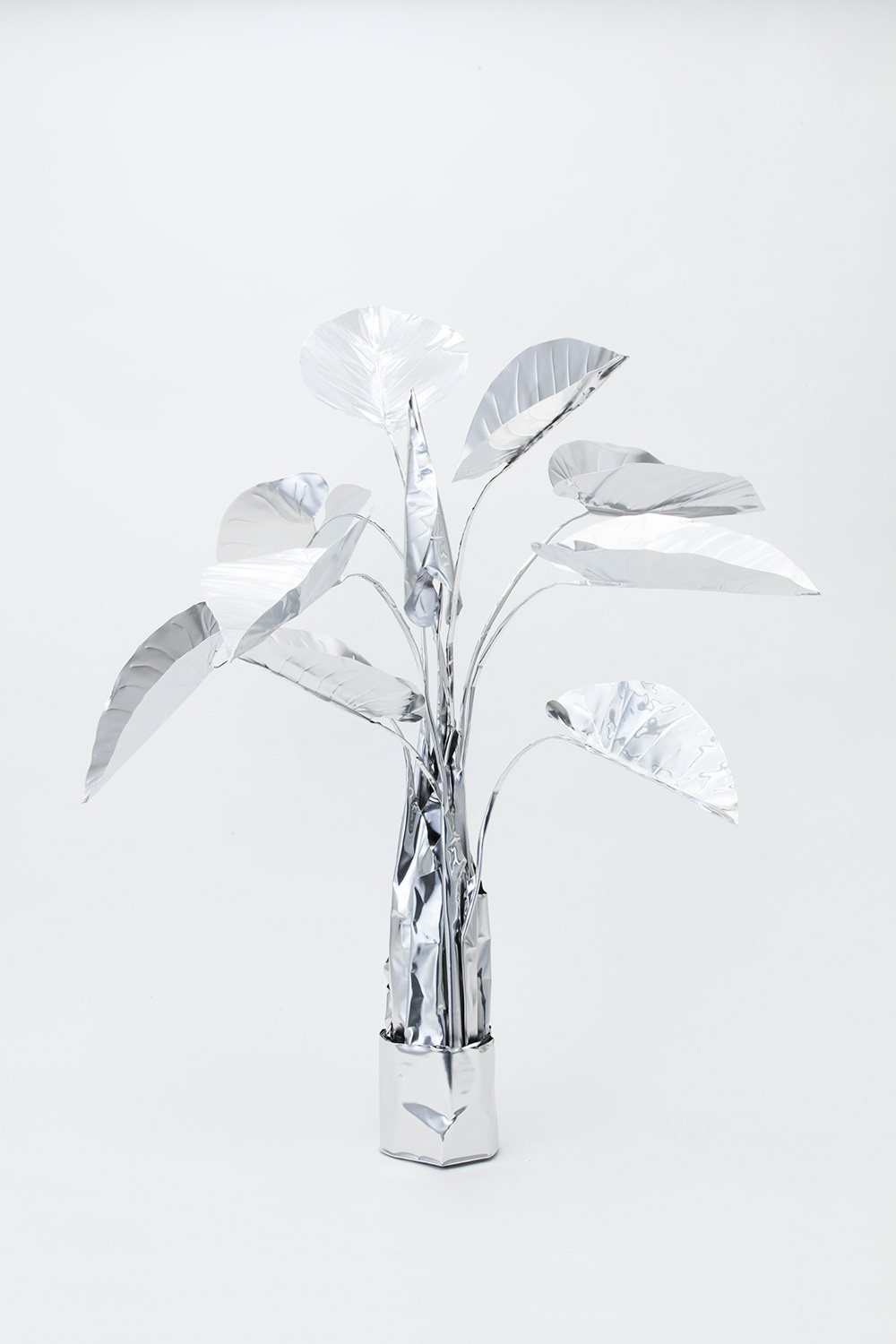 TITLE:  The Aluminium Garden -Structural Studies of Plant- Elephant Ear/ small MATERIAL: Aluminium foil 0.2mm Photo by Shinya Kigure 
