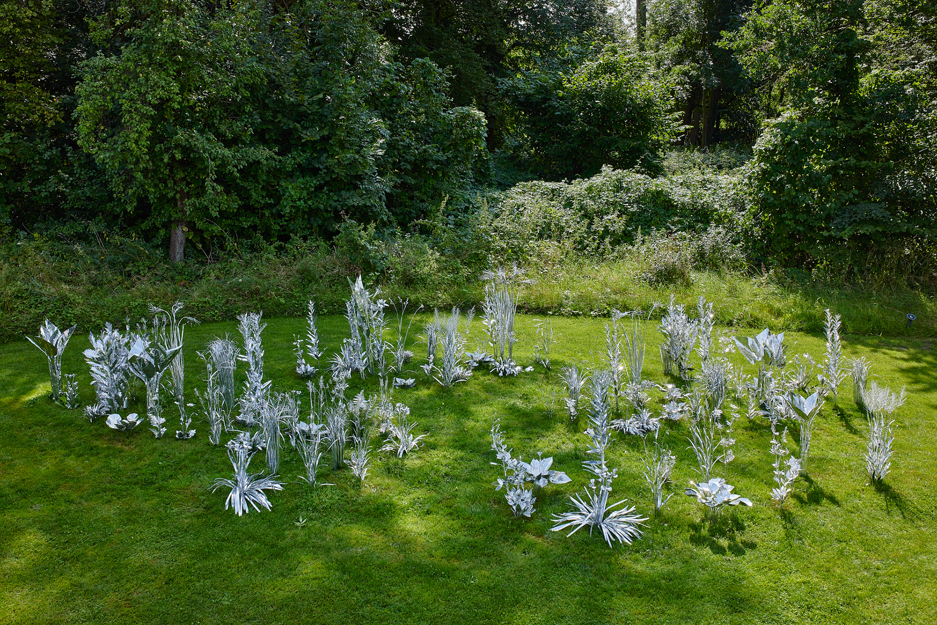 Title: The aluminum garden -structural studies of plants- mirror surface, Year:2024 Photo by Shinji Minegishi