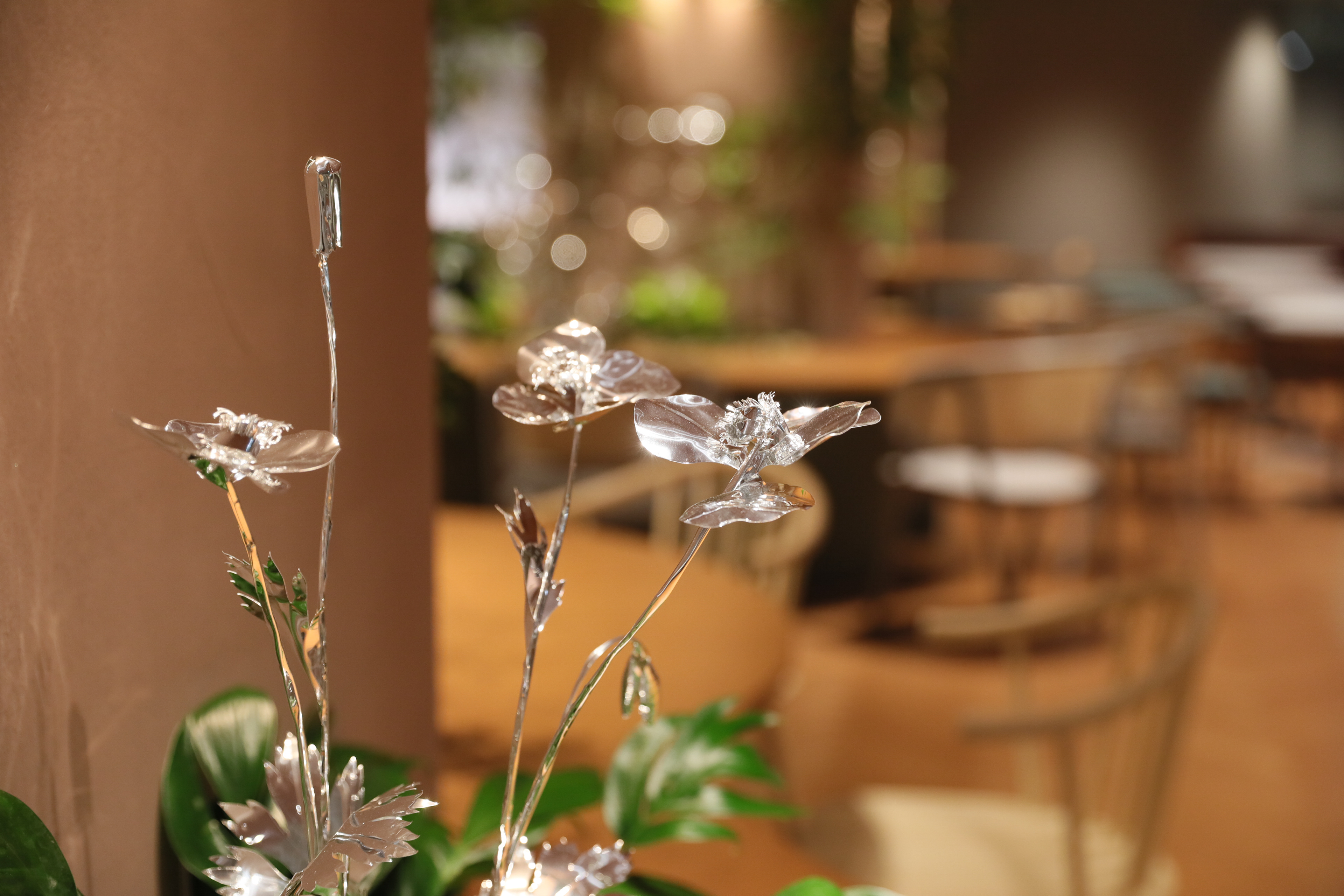Photo by Miyata Masaya