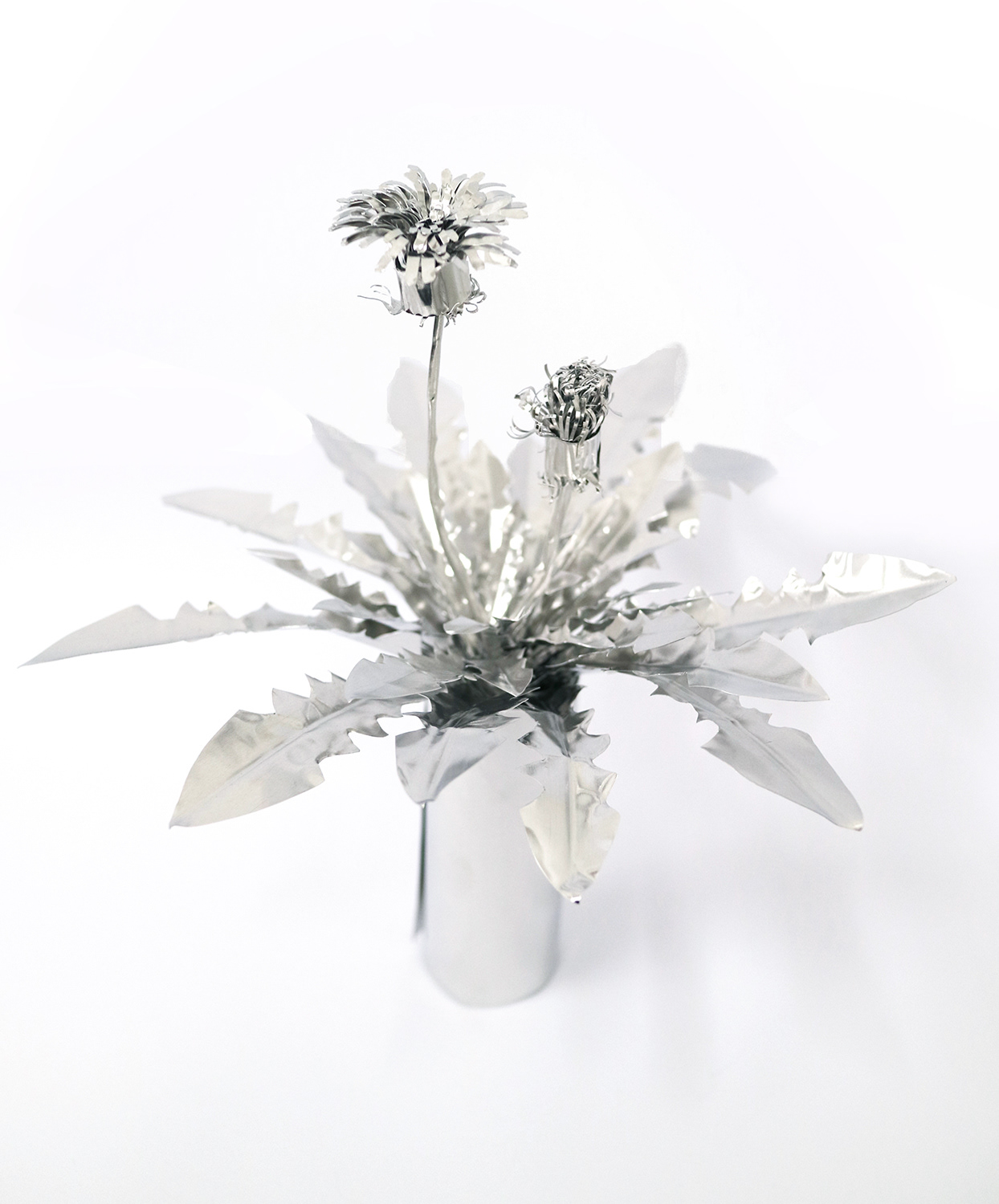 TITLE:  The Aluminium Garden -Structural Studies of Plant- Dandelion with flower MATERIAL: Aluminium foil 0.2mm