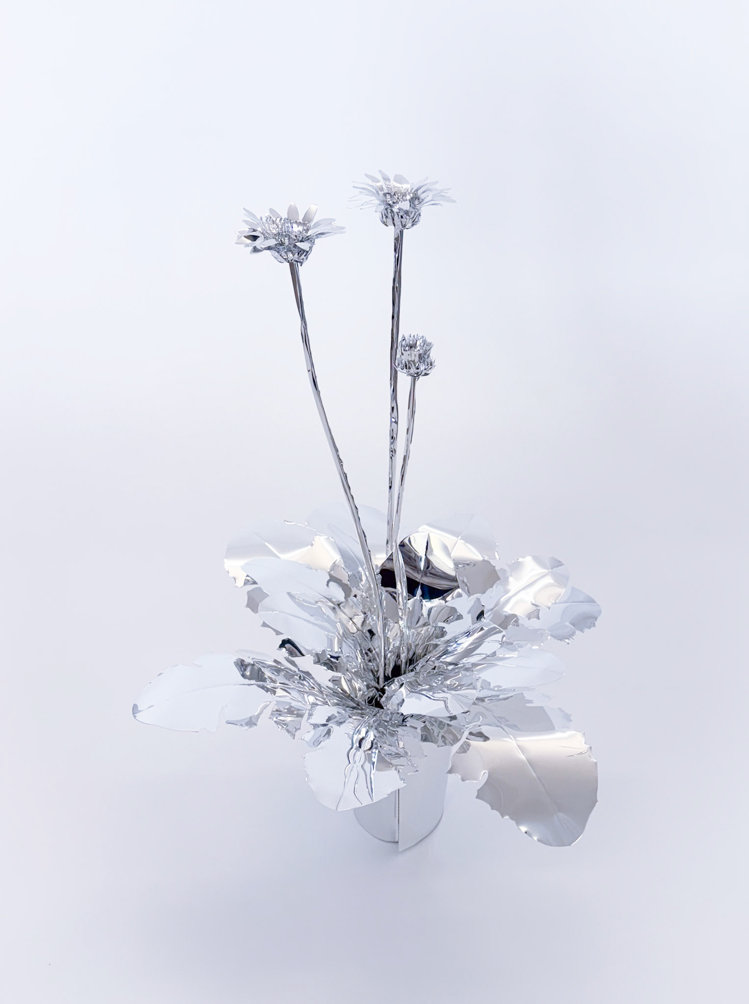 The Aluminum Garden -Structural Studies of Plants- Gerbera Year: 2025 Size: 100x40x40/(h)x(w)x(d)cm Material: Aluminium foil 0.2mm (Mirror polished surface) ◻️Price:1440EUR(+TAX)