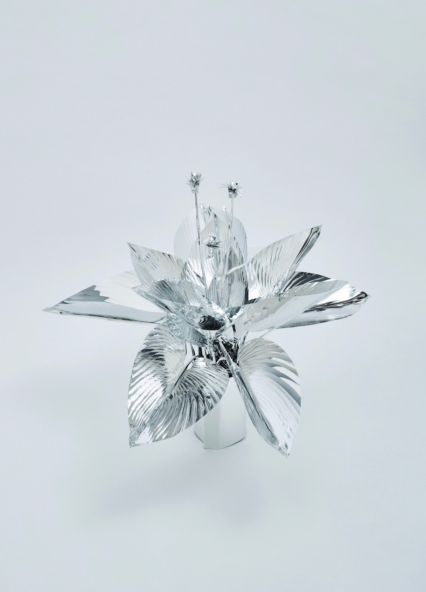 The Aluminum Garden -Structural Studies of Plants- Plantain Lilies Year: 2020 Size: 50x40x40/(h)x(w)x(d)cm Material: Aluminium foil 0.2mm (Mirror polished surface) ◻️1440EUR(+TAX)