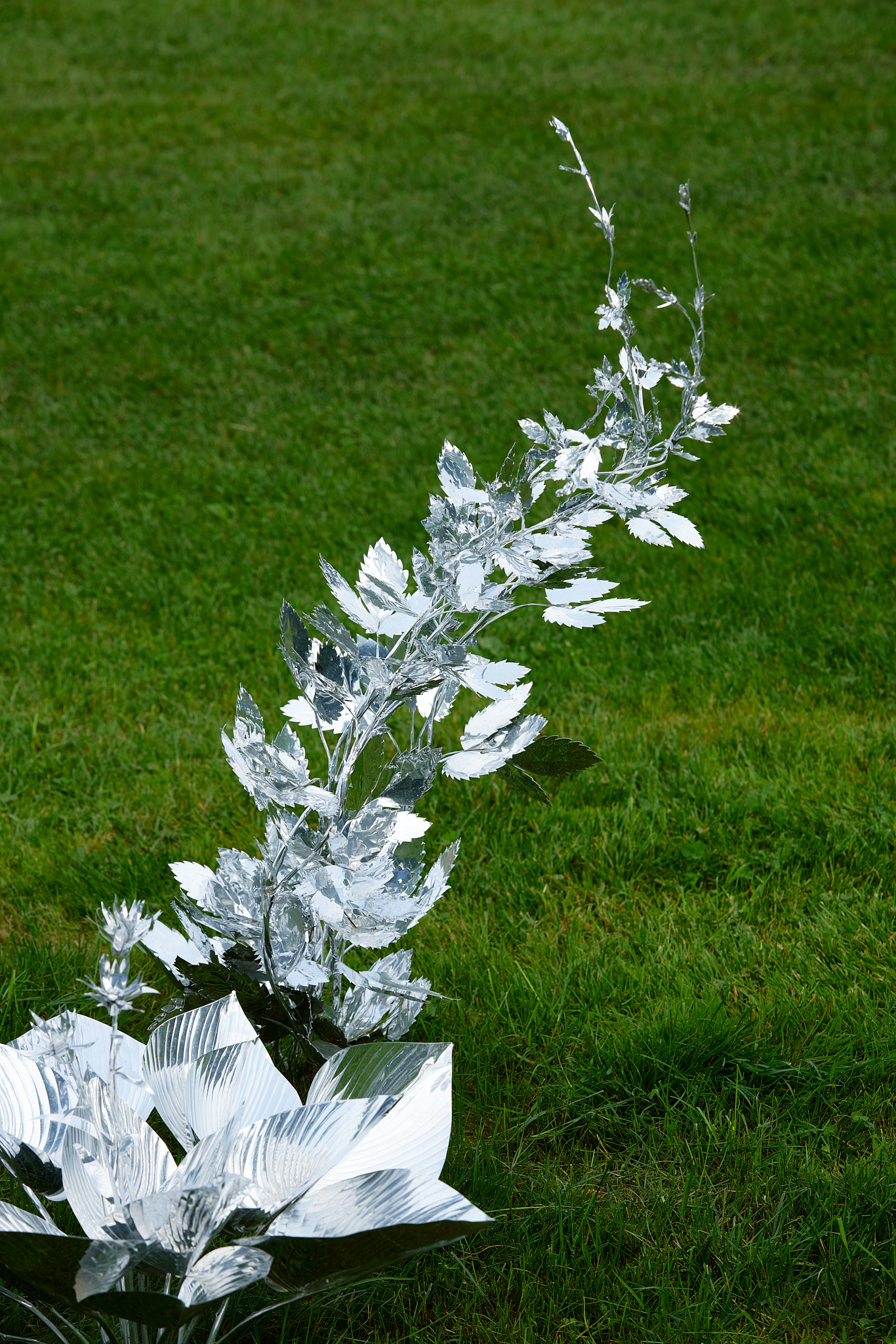 Title: The aluminum garden -structural studies of plants- mirror surface, Year:2024 Photo by Shinji Minegishi