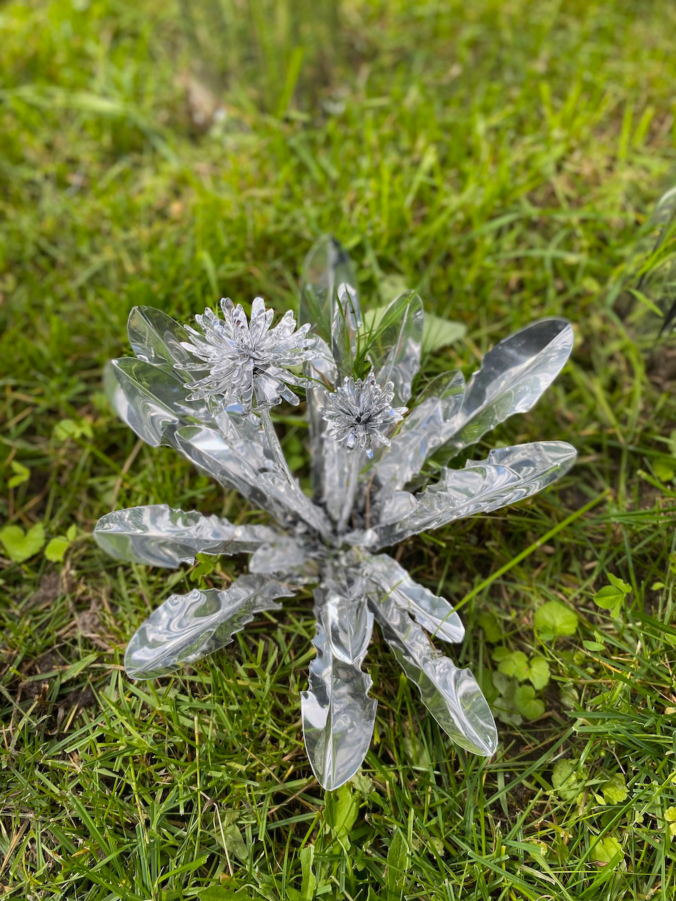 Title: The aluminum garden -structural studies of plants- mirror surface, Year:2020, Material: Aluminium Foil 0.2mm,