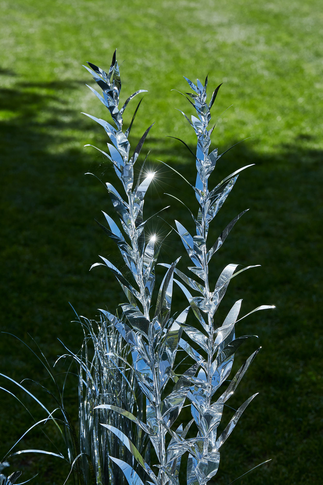 Title: The aluminum garden -structural studies of plants- mirror surface, Year:2020, Material: Aluminium Foil 0.2mm, Photo by Shinji Minegishi