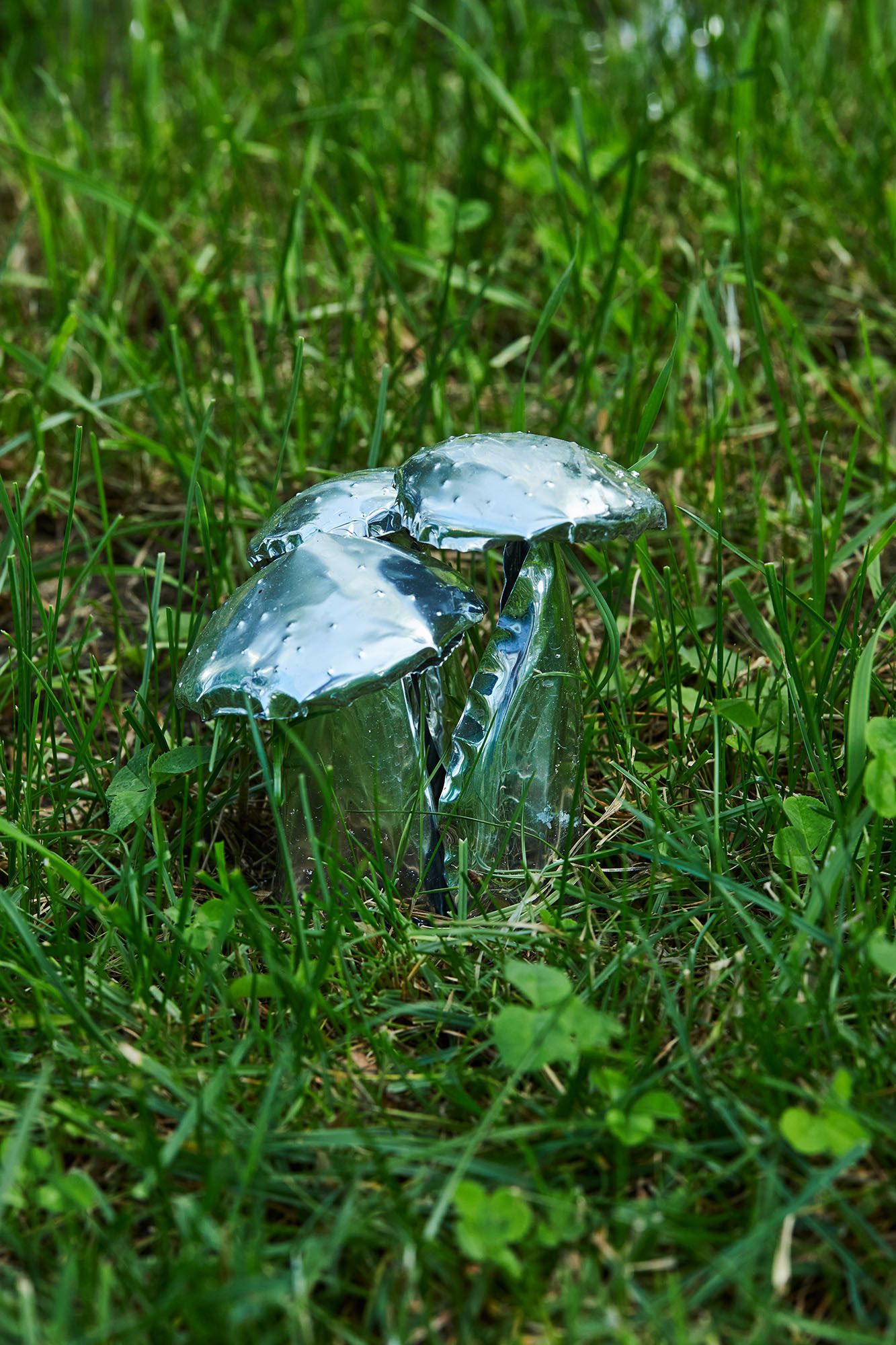 Title: The aluminum garden -structural studies of plants- mirror surface, Year:2020, Material: Aluminium Foil 0.2mm, Photo by Shinji Minegishi