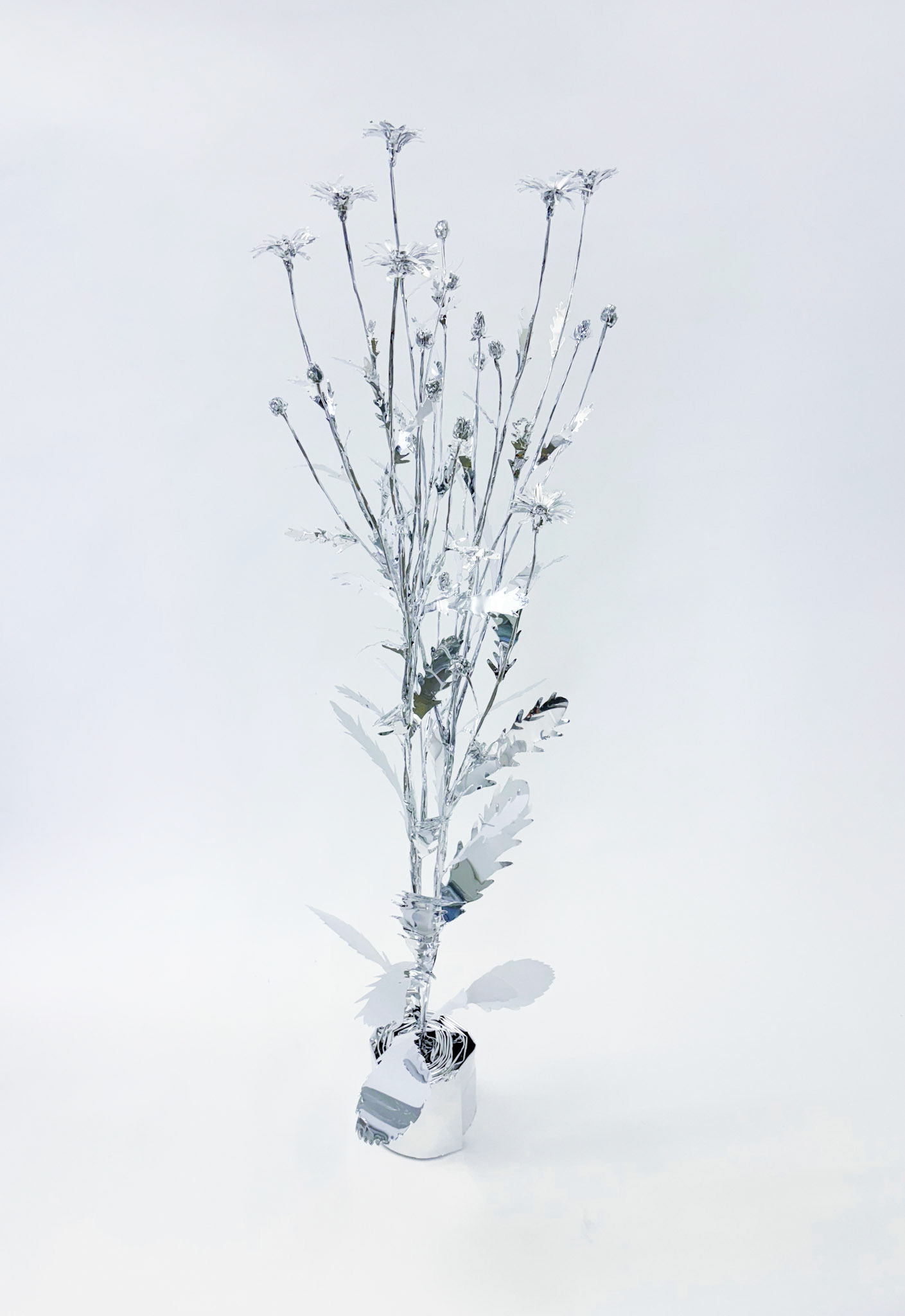 The Aluminum Garden -Structural Studies of Plants-Leucanthemum   Year: 2024 Size: 110x35x35/(h)x(w)x(d)cm Material: Aluminium foil 0.2mm (Mirror polished surface) 