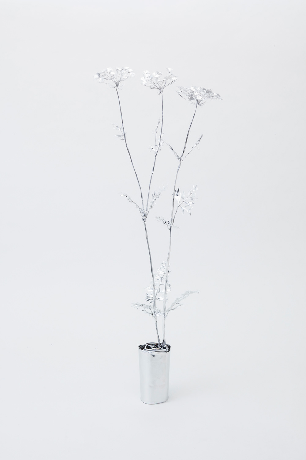 TITLE: The Aluminium Garden -Structural Studies of Plant- Hemlock MATERIAL: Aluminium foil 0.2mm ◻️1000EUR(+TAX) Size: 85(h)x30x30cm