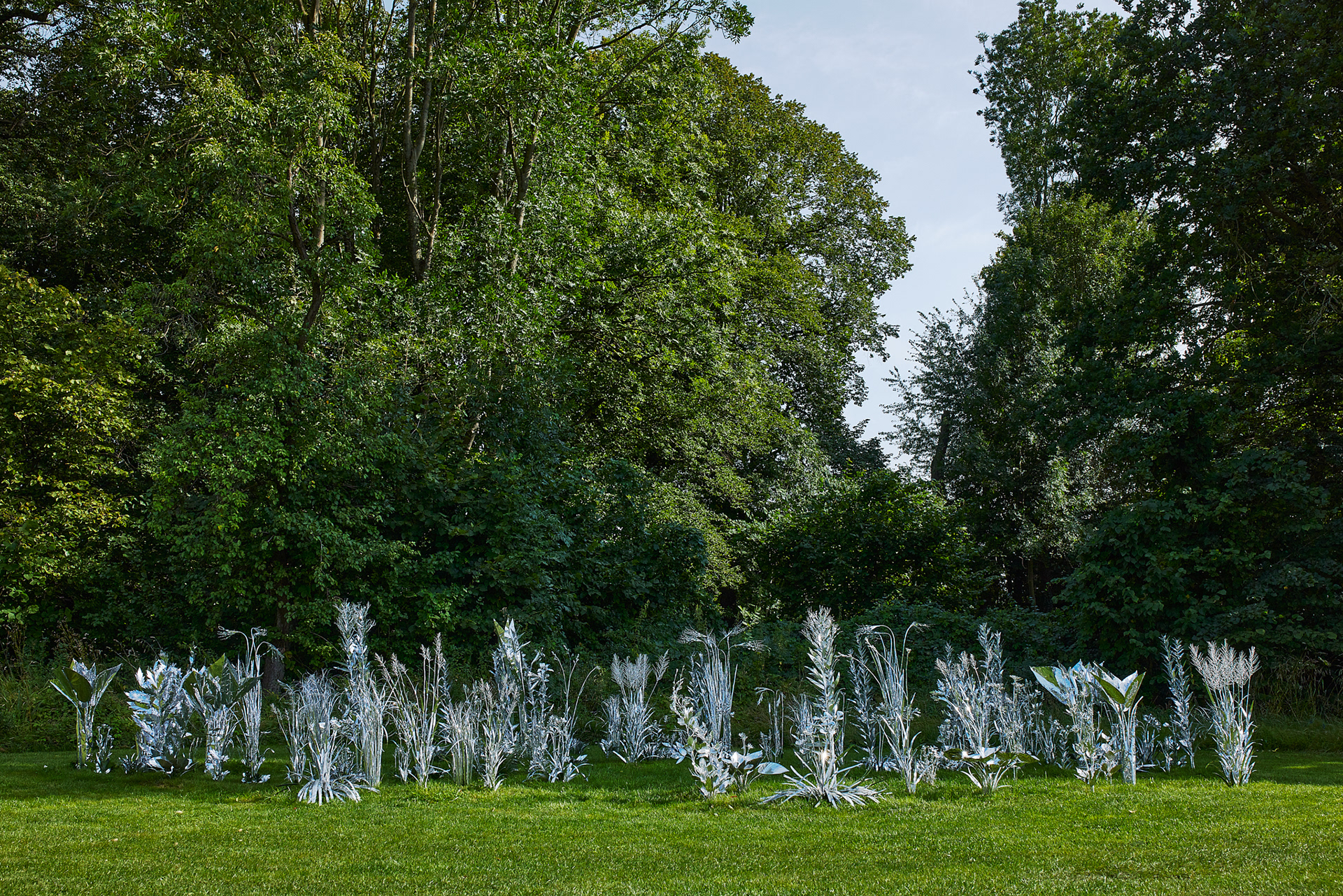 Title: The aluminum garden -structural studies of plants- mirror surface, Year:2024 Photo by Shinji Minegishi