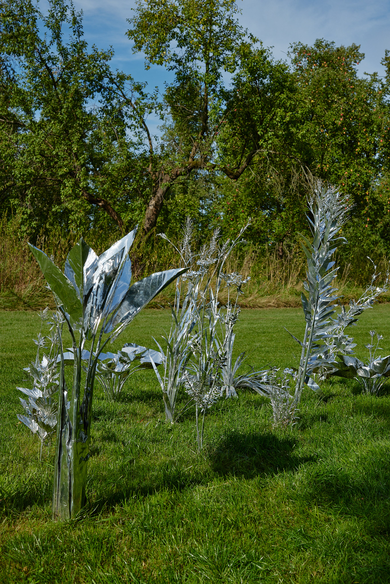 Title: The aluminum garden -structural studies of plants- mirror surface, Year:2024 Photo by Shinji Minegishi
