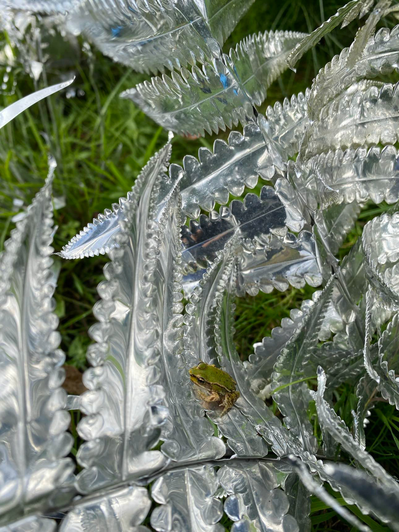 Title: The aluminum garden -structural studies of plants- mirror surface, Year:2021, Material: Aluminium Foil 0.2mm, Photo by T