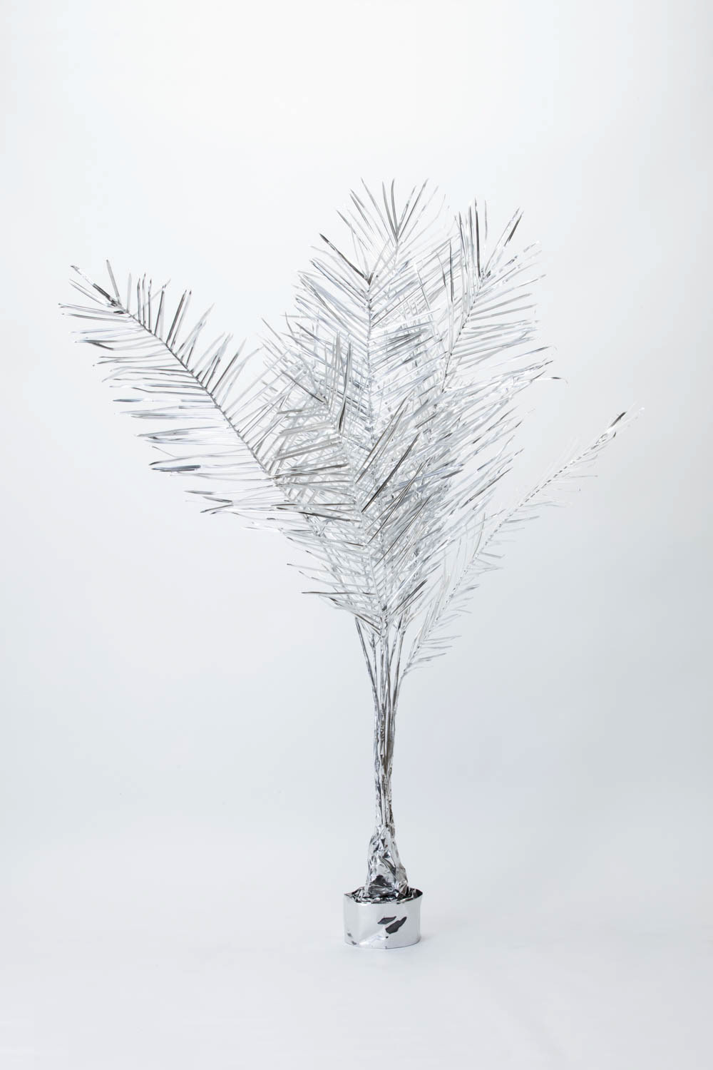 TITLE:  The Aluminium Garden -Structural Studies of Plant- Palm MATERIAL: Aluminium foil 0.2mm Photo by Shinya Kigure 