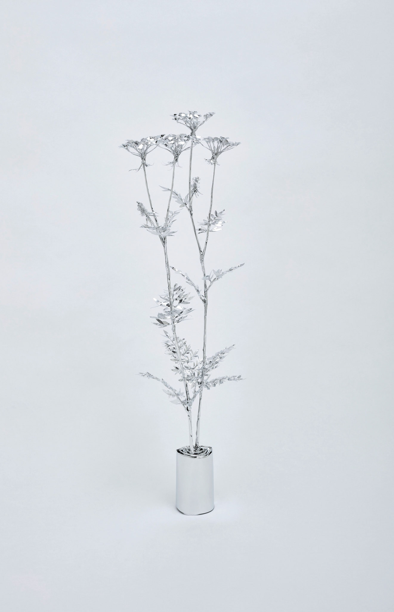 The Aluminum Garden -Structural Studies of Plants- Hemlock Year: 2020 Size: 86x30x30/(h)x(w)x(d)cm Material: Aluminium foil 0.2mm (Mirror polished surface) Photo by Shinji Minegishi