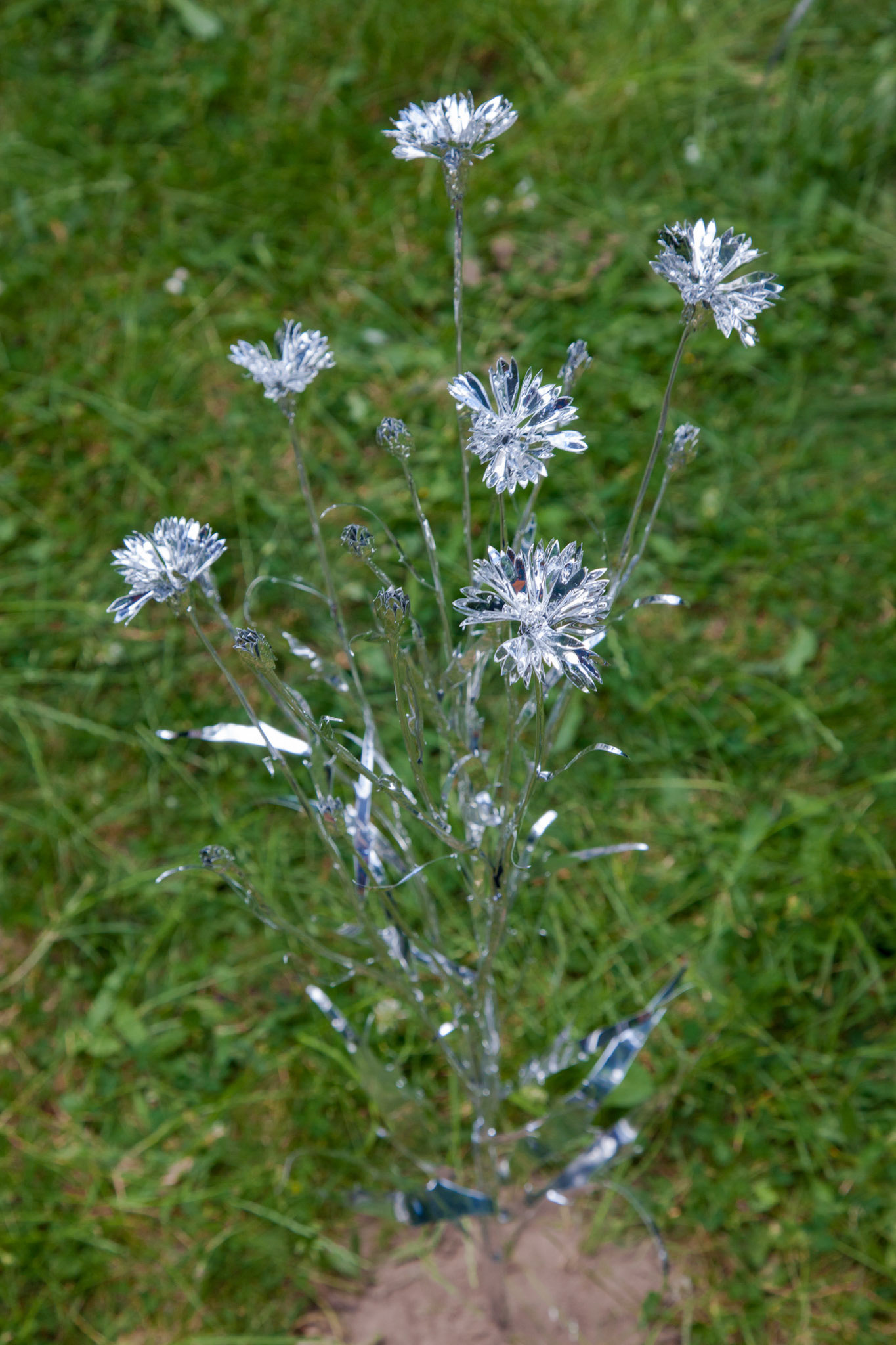 Title: The aluminum garden -structural studies of plants-  Material: Aluminium Foil Mirror polished surface 0.2mm Photo by Joanna Szproch