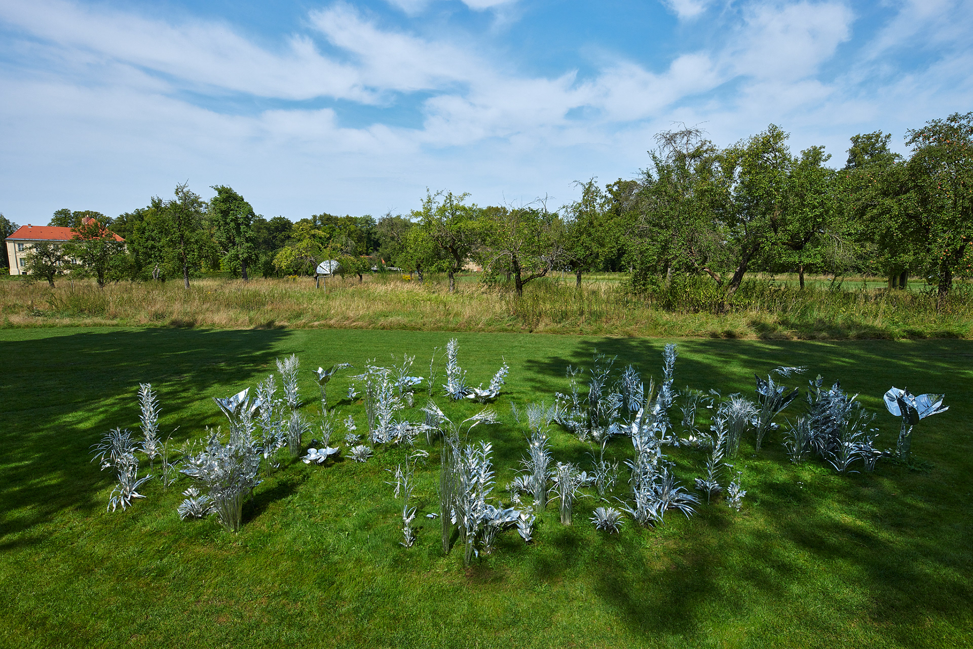 Title: The aluminum garden -structural studies of plants- mirror surface, Year:2024 Photo by Shinji Minegishi