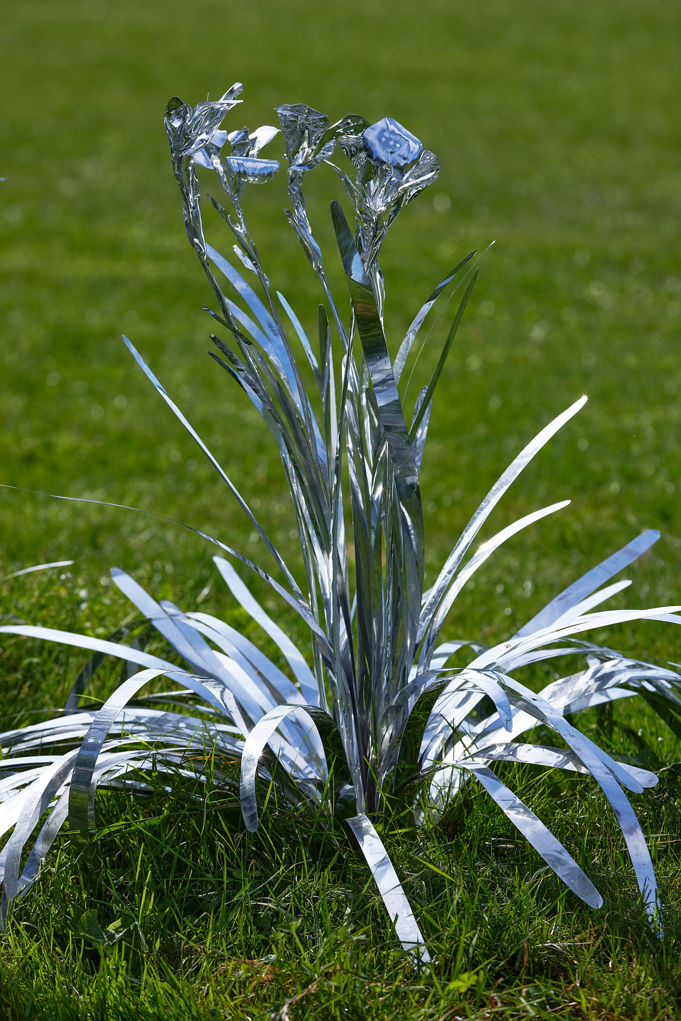 Title: The aluminum garden -structural studies of plants- mirror surface, Year:2024 Photo by Shinji Minegishi