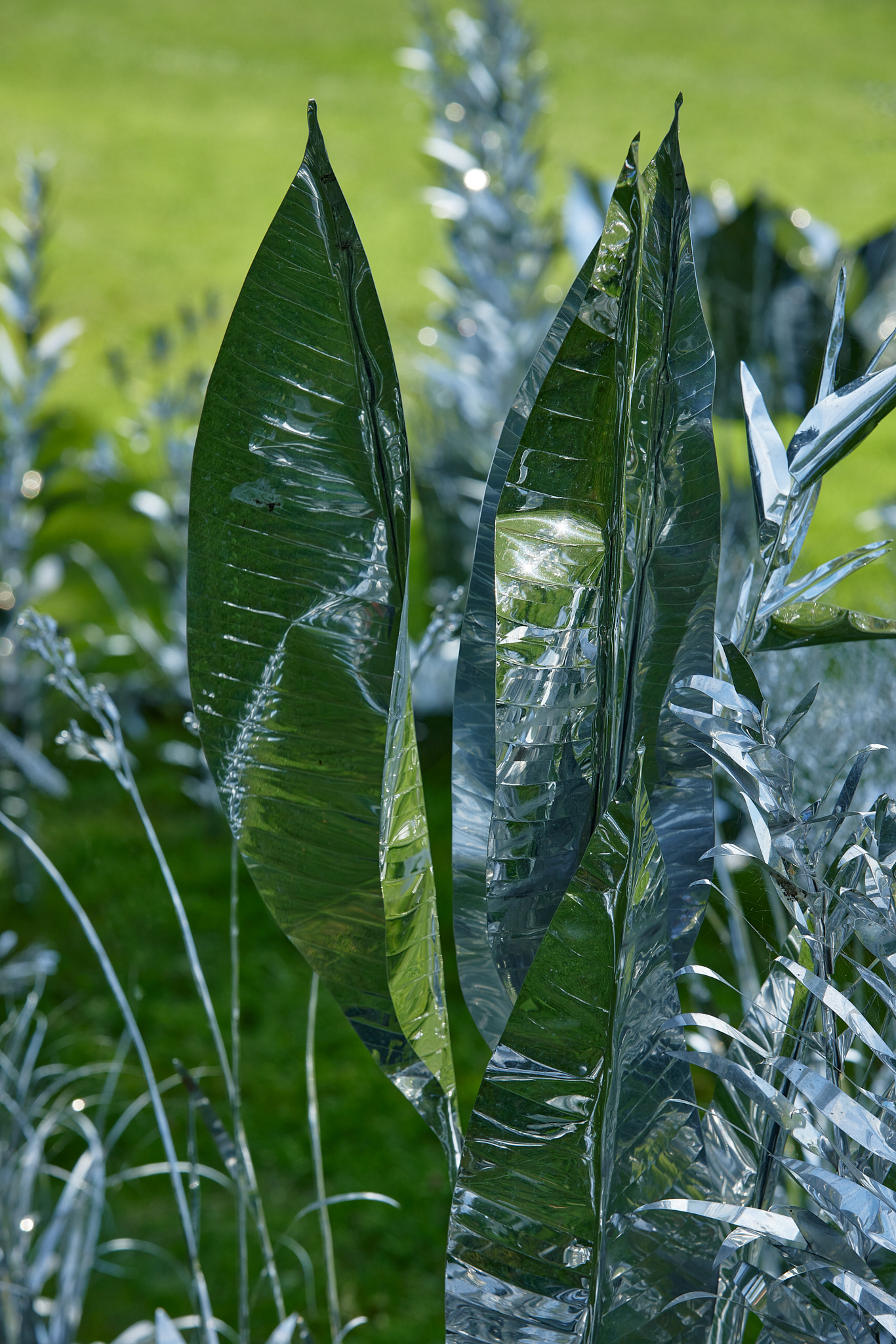Title: The aluminum garden -structural studies of plants- mirror surface, Year:2024 Photo by Shinji Minegishi