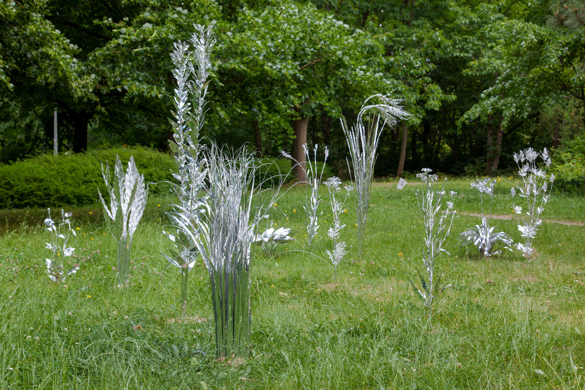 Title: The aluminum garden -structural studies of plants-  Material: Aluminium Foil Mirror polished surface 0.2mm Photo by Joanna Szproch