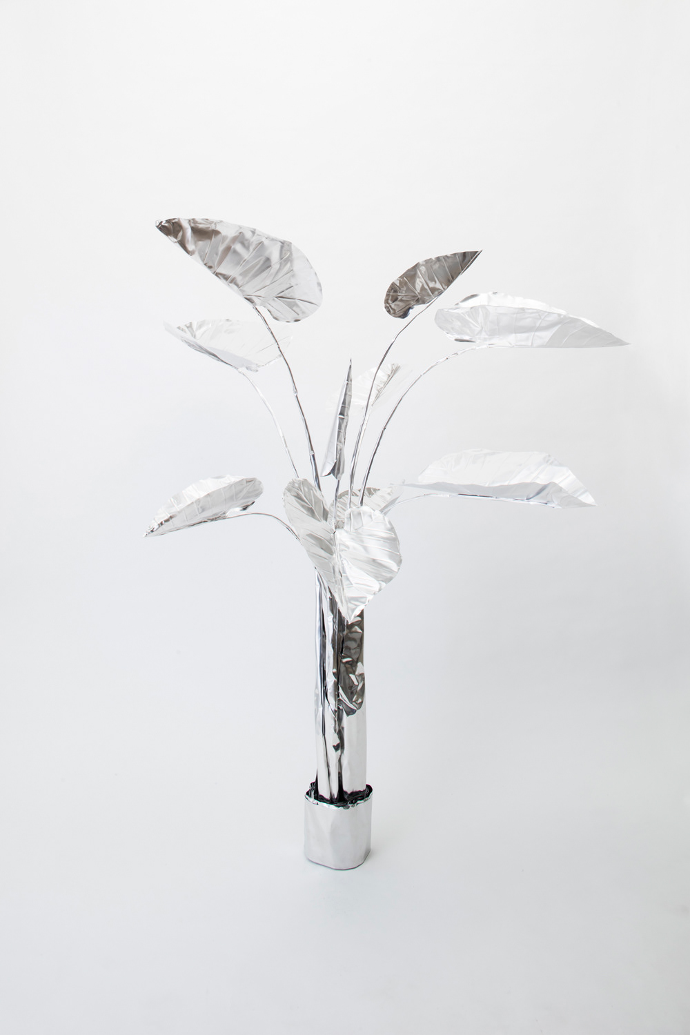 TITLE:  The Aluminium Garden -Structural Studies of Plant- Elephant Ear/big MATERIAL: Aluminium foil 0.2mm Photo by Shinya Kigure 