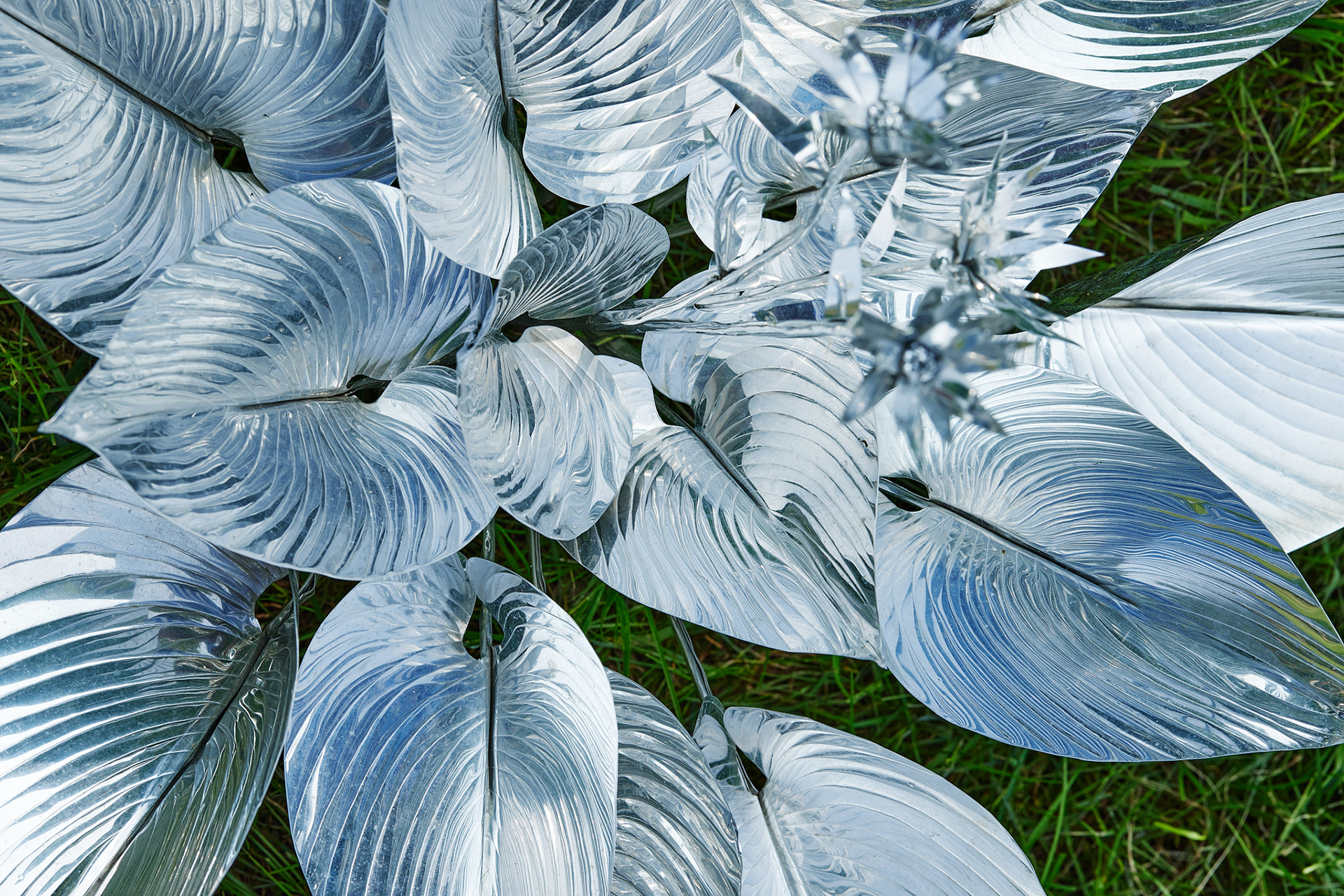 Title: The aluminum garden -structural studies of plants- mirror surface, Year:2024 Photo by Shinji Minegishi