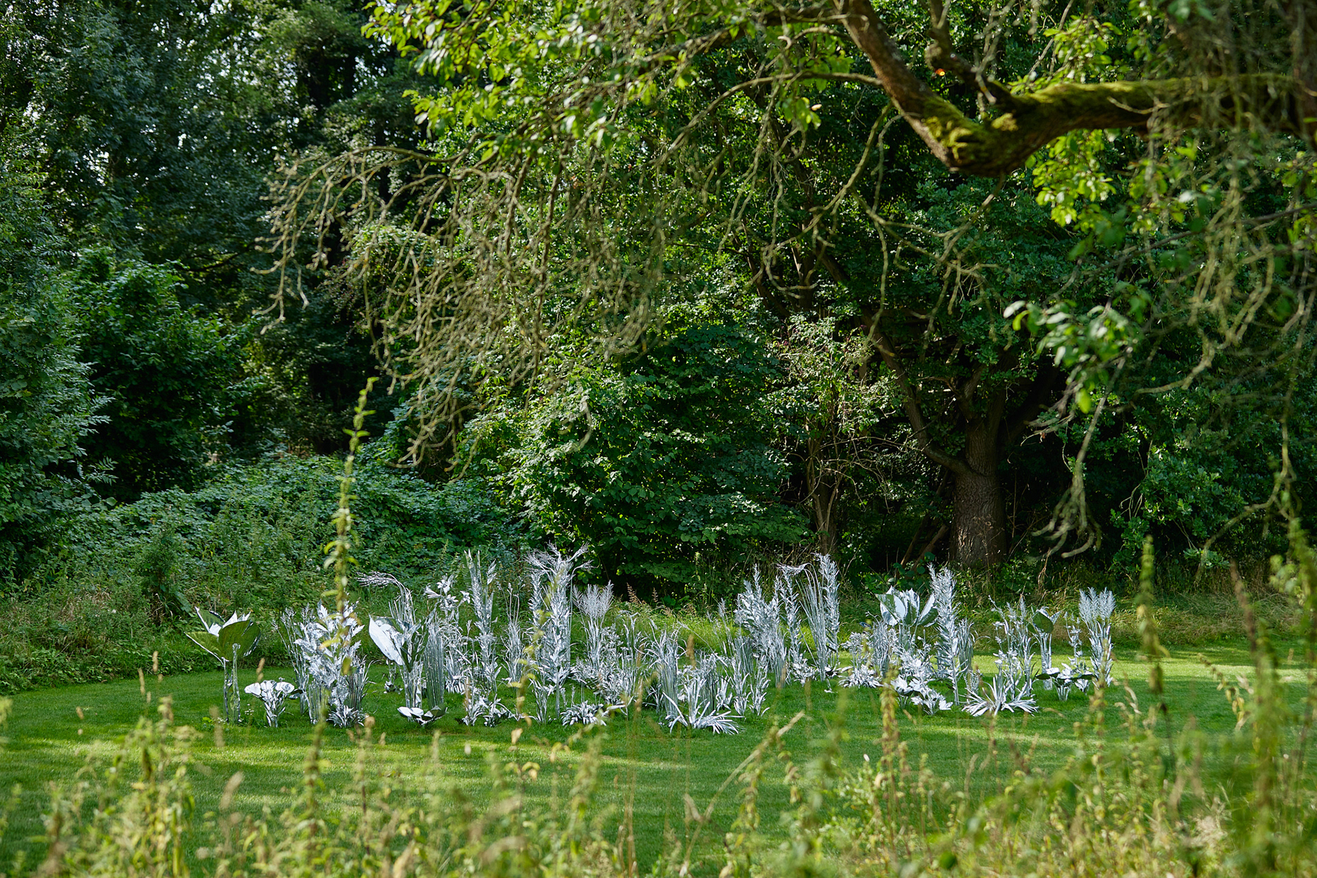 Title: The aluminum garden -structural studies of plants- mirror surface, Year:2024 Photo by Shinji Minegishi