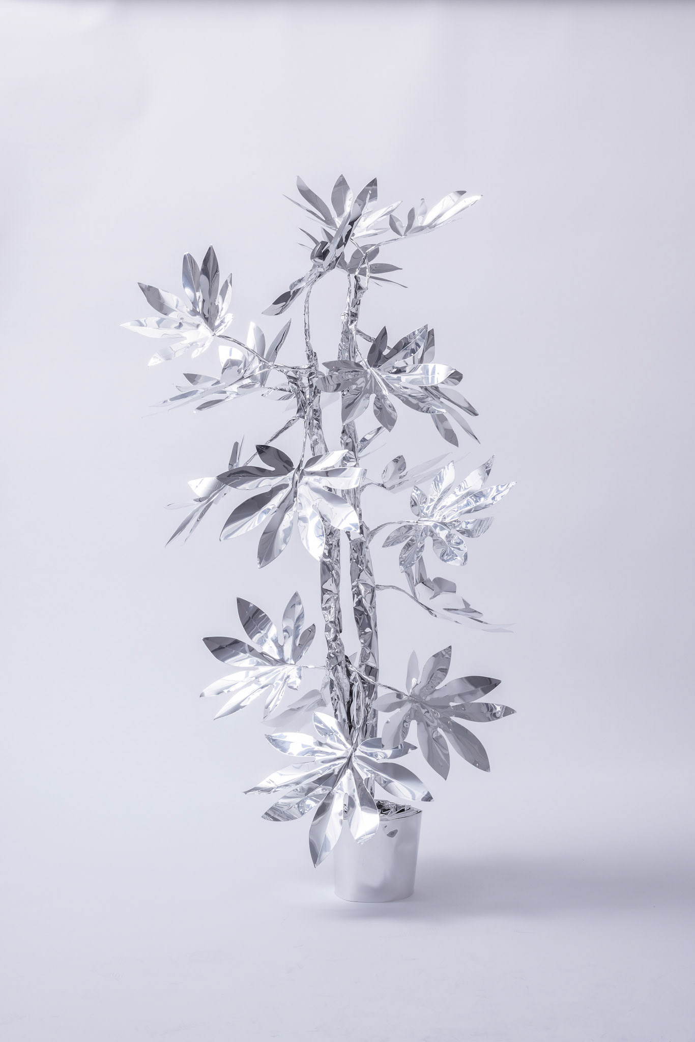 The Aluminum Garden -Structural Studies of Plants- Paper Plants Year: 2022 Size: 100x87x80(h)x(w)x(d)cm Material: Aluminium foil 0.2mm (Mirror polished surface)