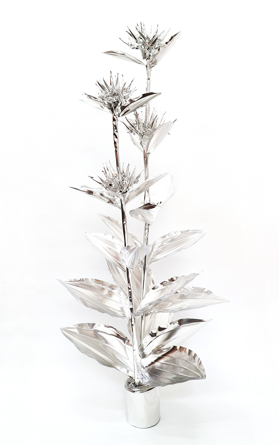 TITLE:  The Aluminium Garden -Structural Studies of Plant-Great Yellow Gentian MATERIAL: Aluminium foil 0.2mm ,SIZE: 130(h)x45x35cm