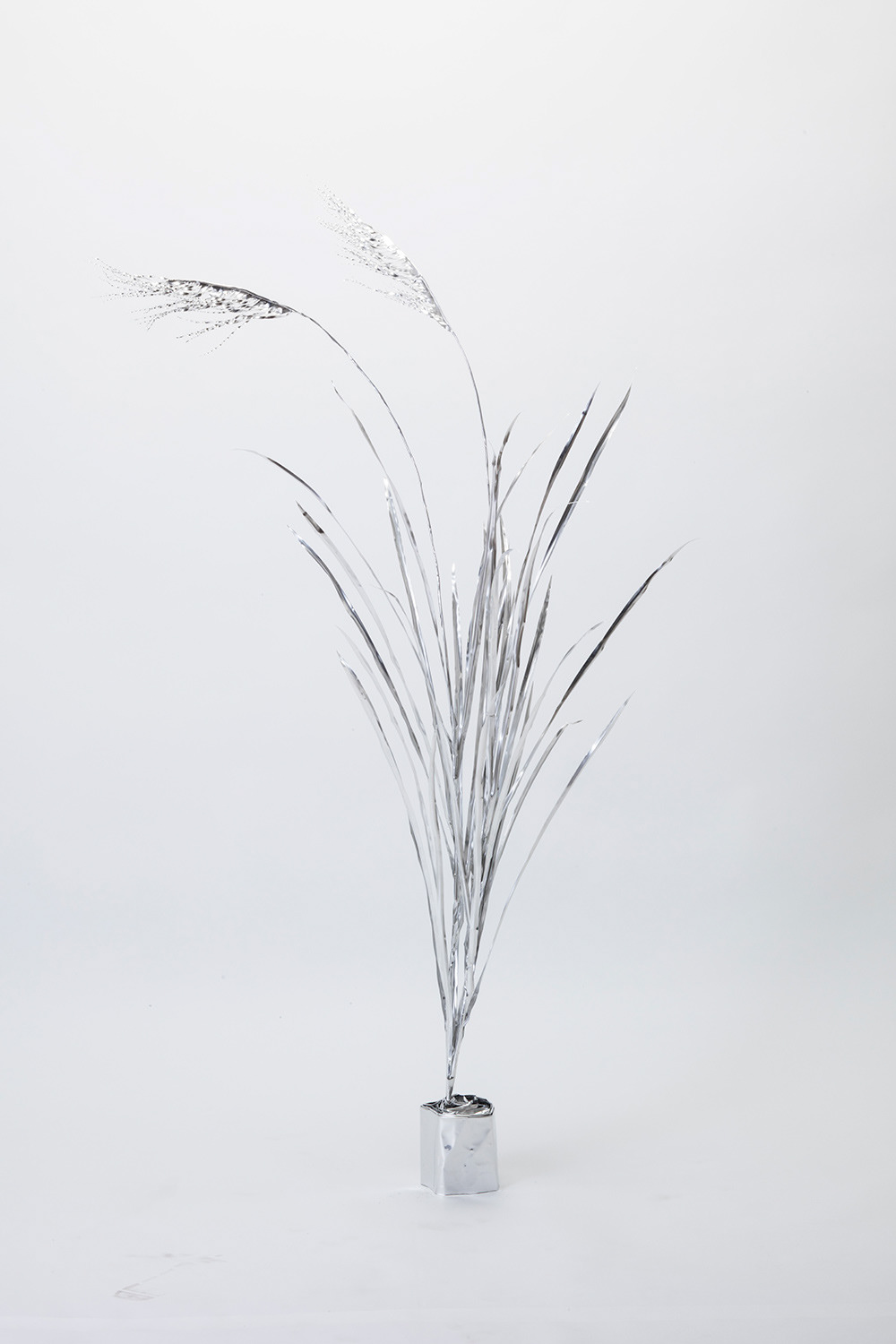 TITLE:  The Aluminium Garden -Structural Studies of Plant- Japanese Pampas Grass MATERIAL: Aluminium foil 0.2mm Photo by Shinya Kigure