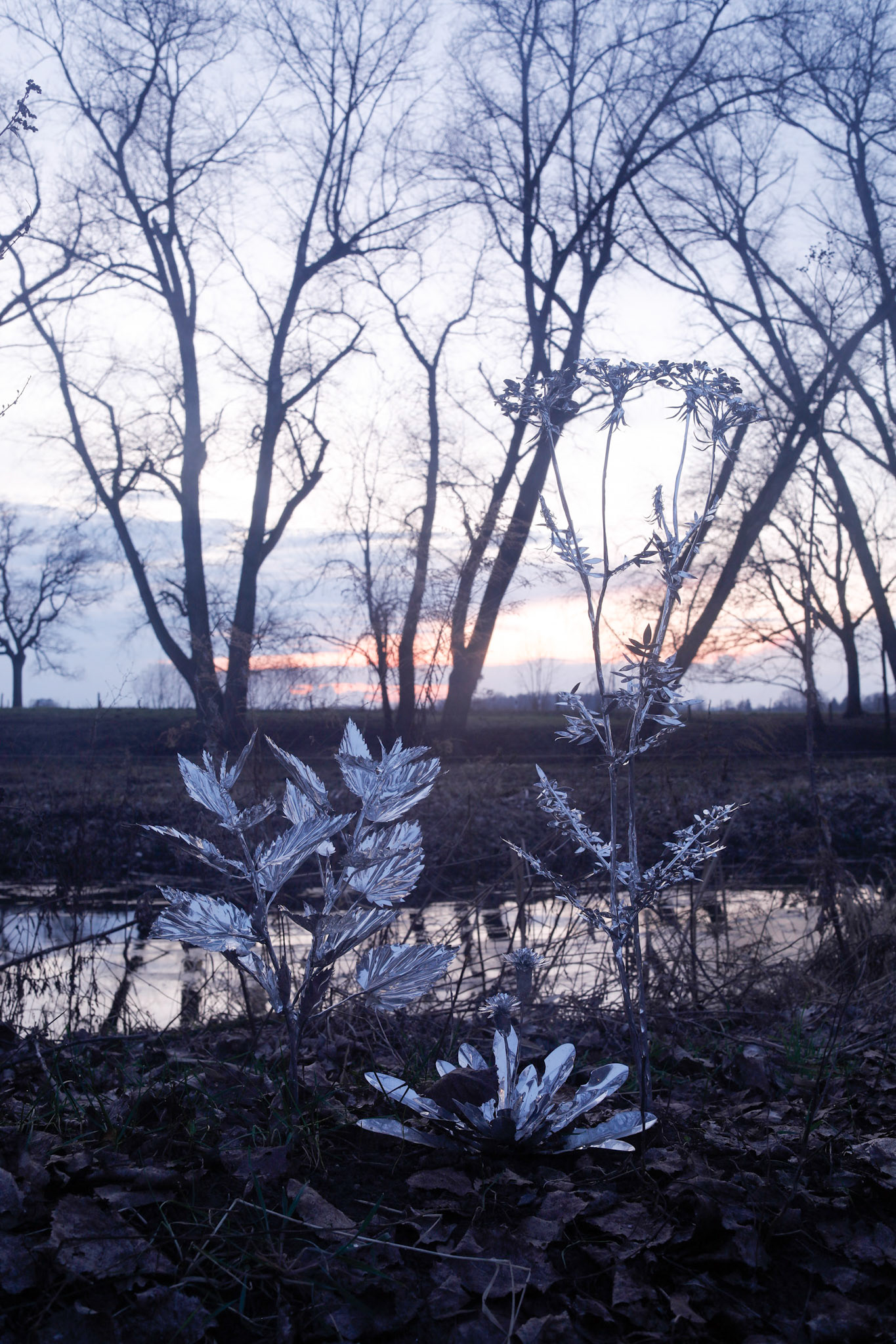 24 December, 2022,18:41