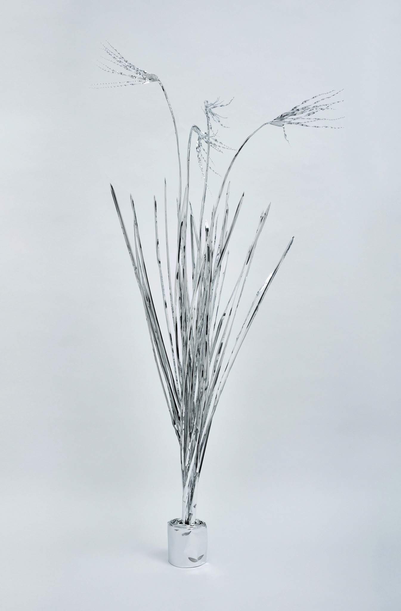 The Aluminum Garden -Structural Studies of Plants- Japanese Pampas Grass Year: 2020 Size: 145x50x50/(h)x(w)x(d)cm Material: Aluminium foil 0.2mm (Mirror polished surface) Photo by Shinji Minegishi