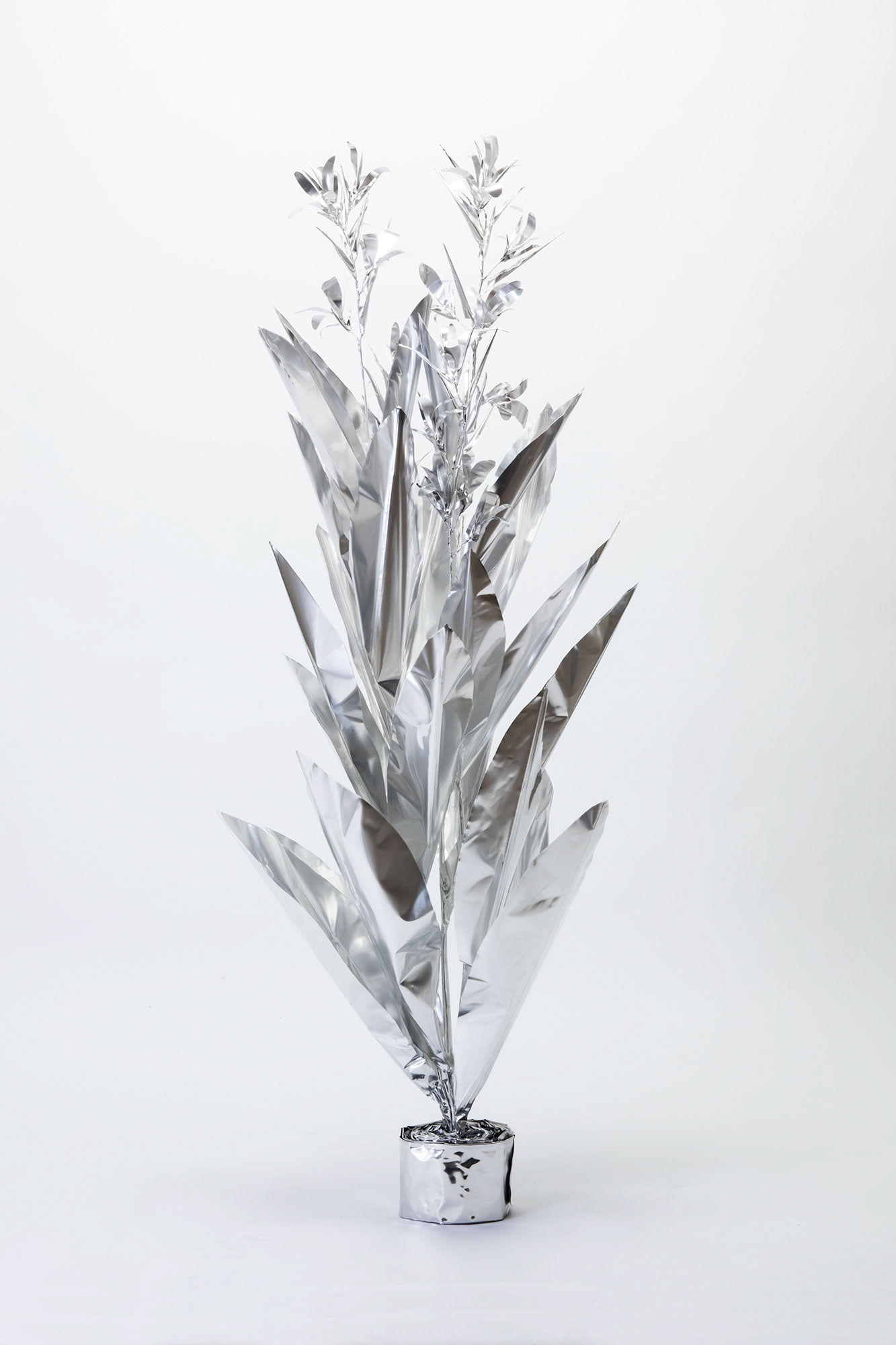 TITLE: The Aluminium Garden -Structural Studies of Plant- Canna Indica MATERIAL: Aluminium foil 0.2mm ◻️2500EUR(+TAX) Size: 150(h)x45x45cm