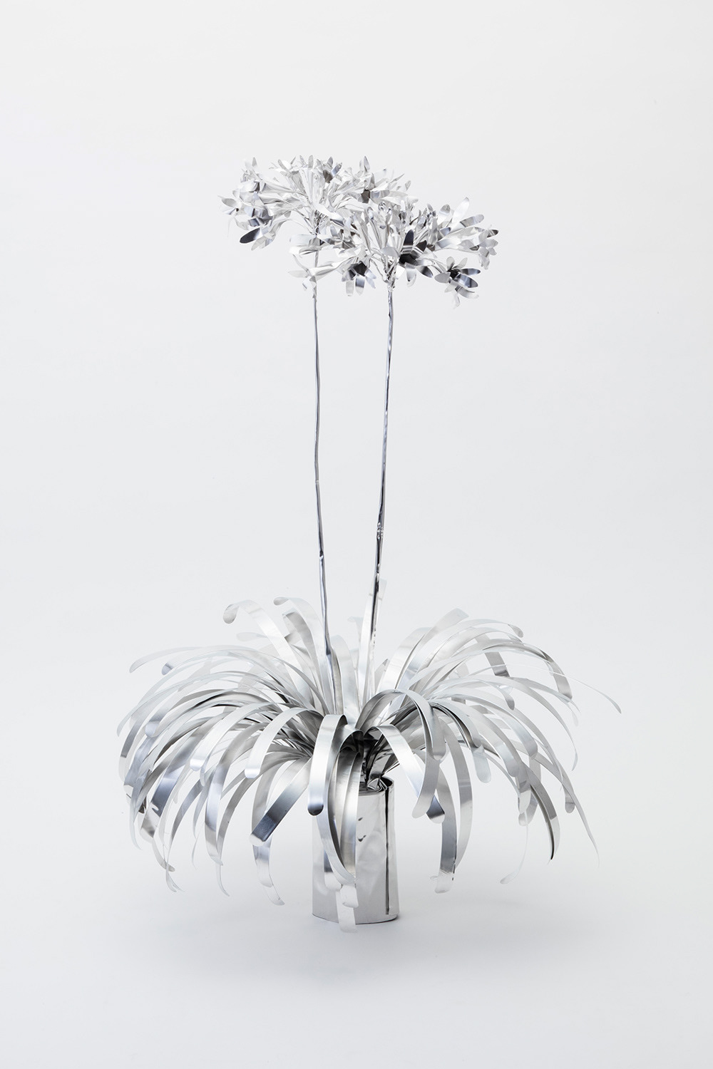 TITLE: The Aluminium Garden -Structural Studies of Plant- Agapanthus MATERIAL: Aluminium foil 0.2mm ◻️1200EUR(+TAX) Size: 75(h)x30x30cm