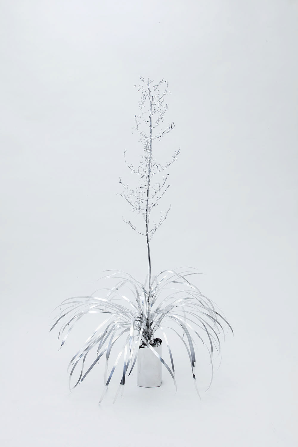 TITLE:  The Aluminium Garden -Structural Studies of Plant- Love Grass MATERIAL: Aluminium foil 0.2mm Photo by Shinya Kigure 