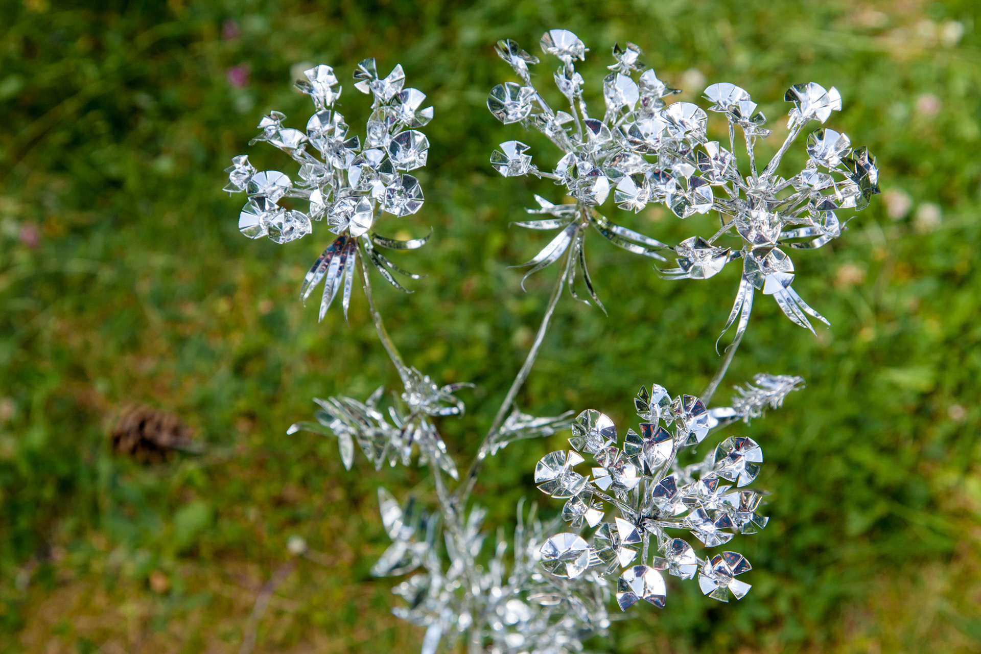 Title: The aluminum garden -structural studies of plants-  Material: Aluminium Foil Mirror polished surface 0.2mm Photo by Joanna Szproch
