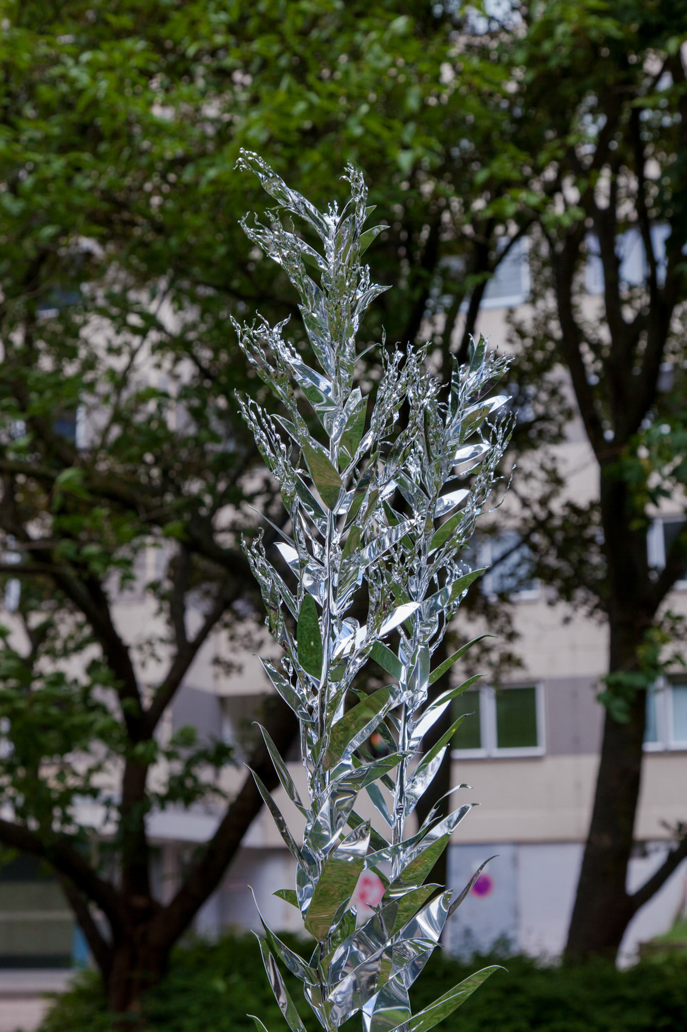 Title: The aluminum garden -structural studies of plants-  Material: Aluminium Foil Mirror polished surface 0.2mm Photo by Joanna Szproch