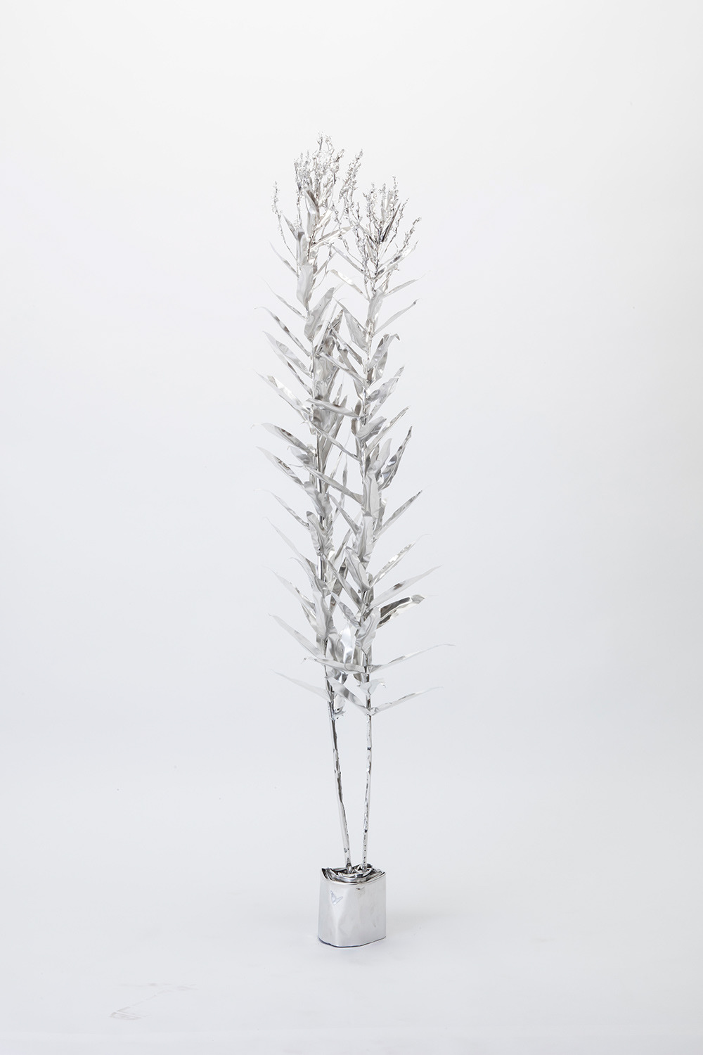 TITLE: The Aluminium Garden -Structural Studies of Plant- Canadian Goldenrod /tall, MATERIAL: Aluminium foil 0.2mm ◻️1700EUR(+TAX) Size: 150(h)x35x35