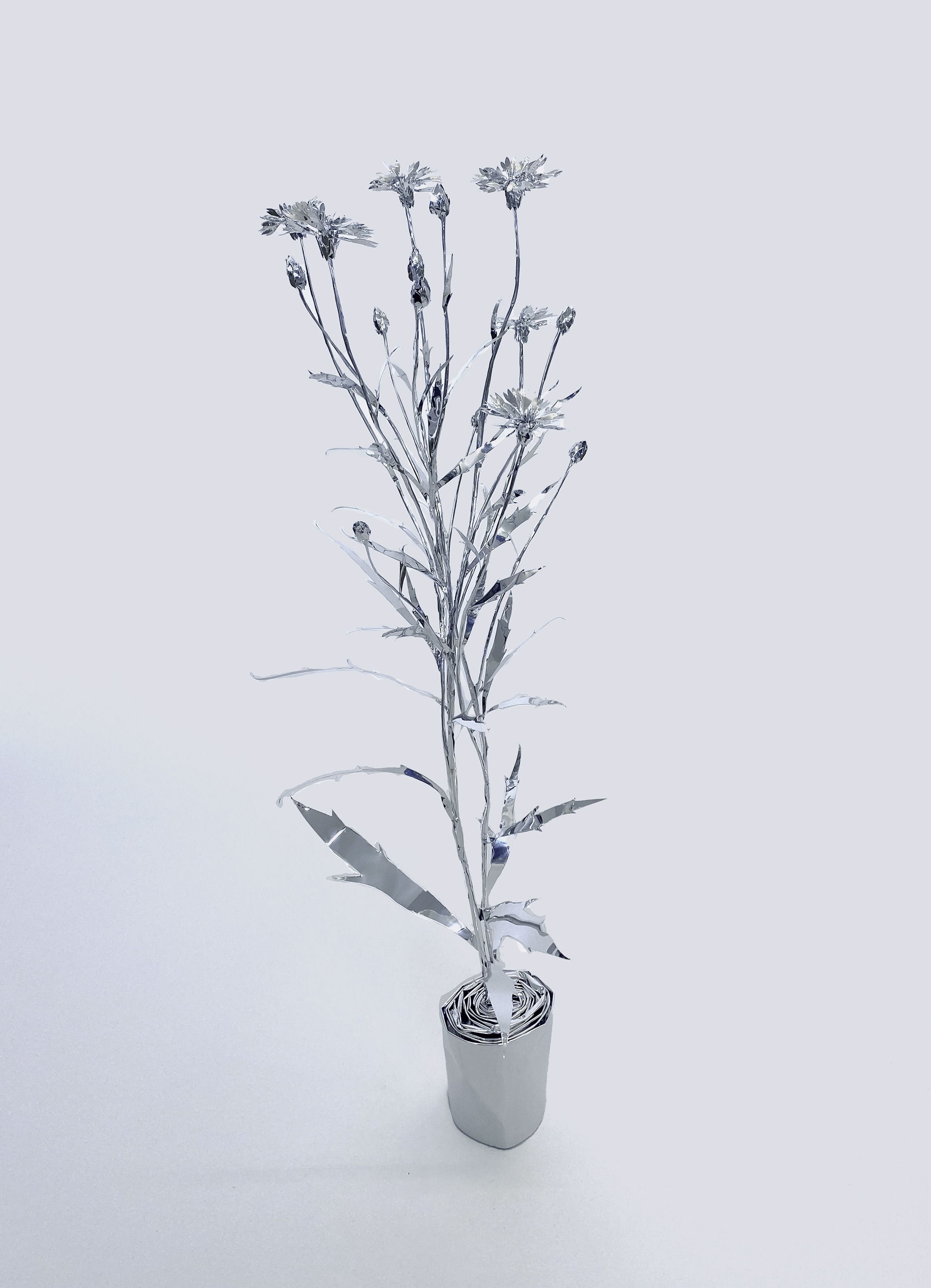 The Aluminum Garden -Structural Studies of Plants- Bachelor's button Year: 2023 Size: 86x30x30/(h)x(w)x(d)cm Material: Aluminium foil 0.2mm (Mirror polished surface)